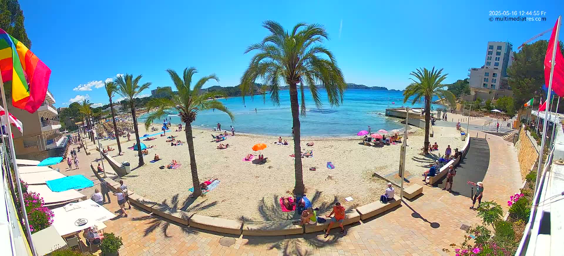 A sandy beach with palm trees and many people sunbathing and swimming on a sunny day.