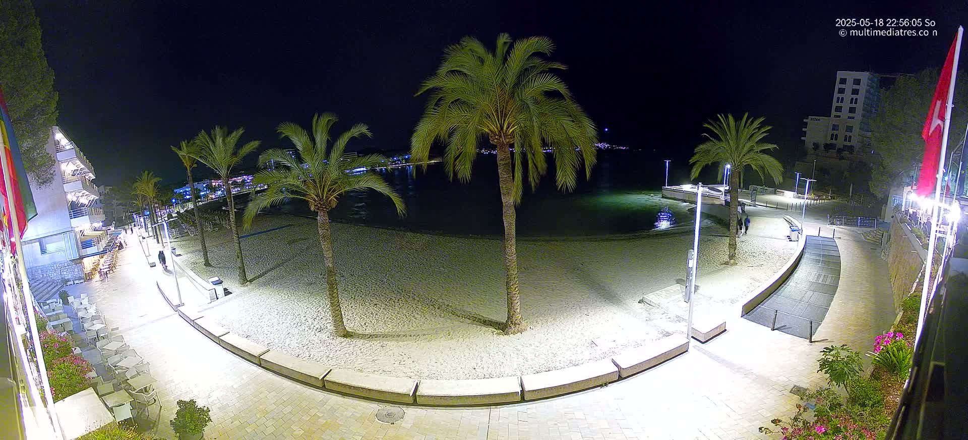 A nighttime view of a sandy beach with palm trees, a promenade, and buildings, under a clear, dark sky.