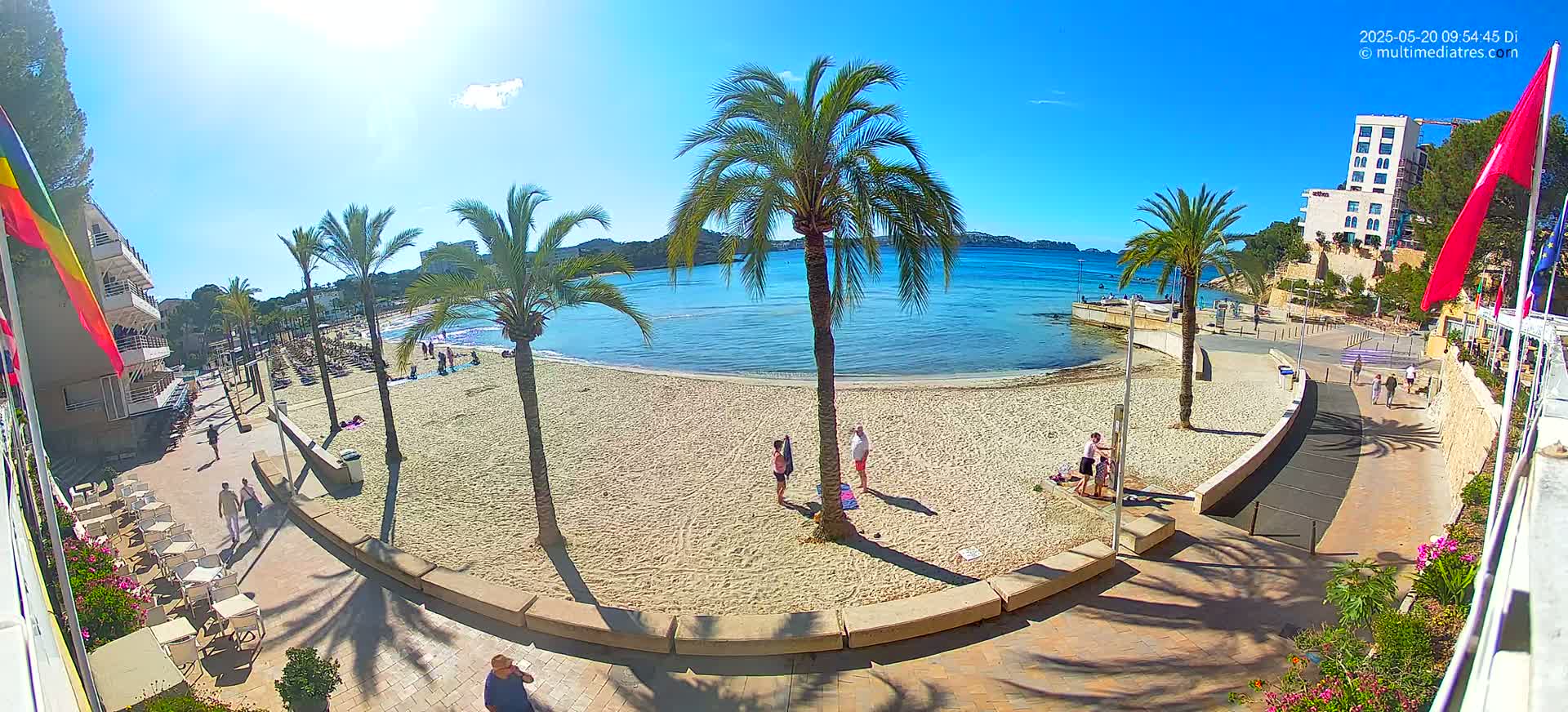 A sandy beach with palm trees and several people, some sitting and some standing, is situated next to a calm, clear blue body of water on a sunny day.