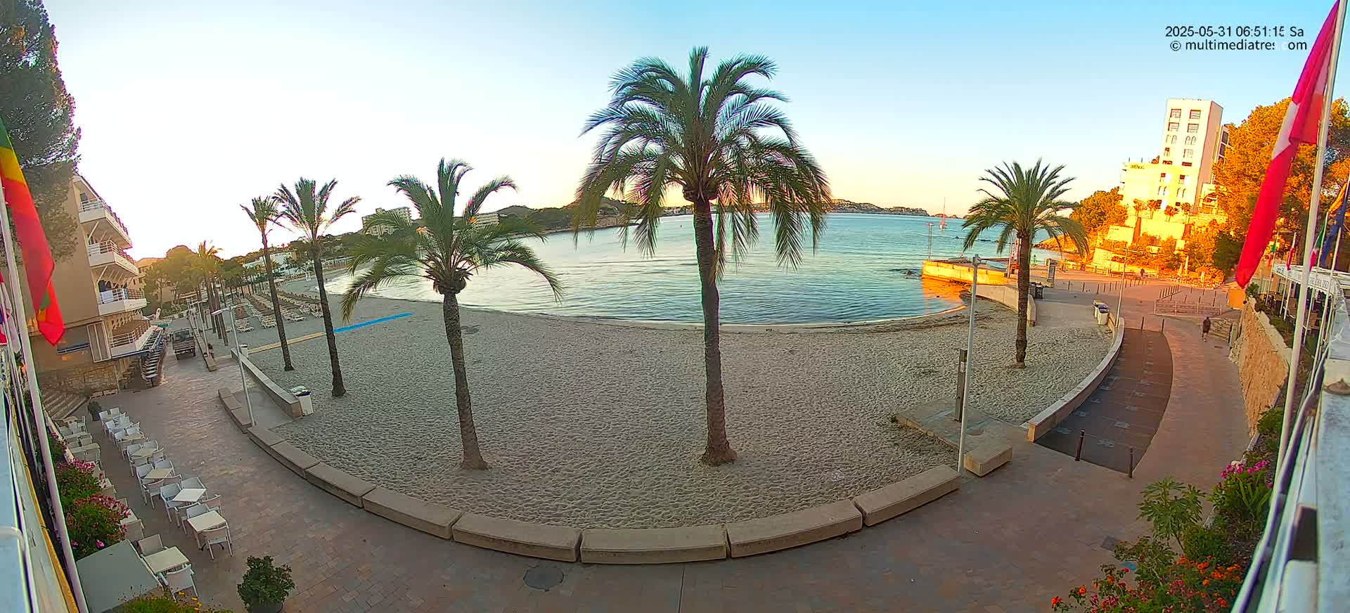 A sandy beach with palm trees and buildings is seen at sunrise, next to a calm body of water.