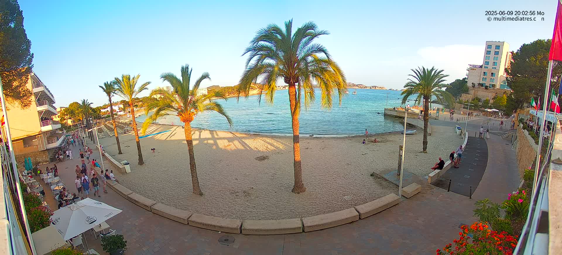 A sandy beach with palm trees and several people is seen from an elevated viewpoint, under a clear evening sky; calm water is visible beyond the beach.