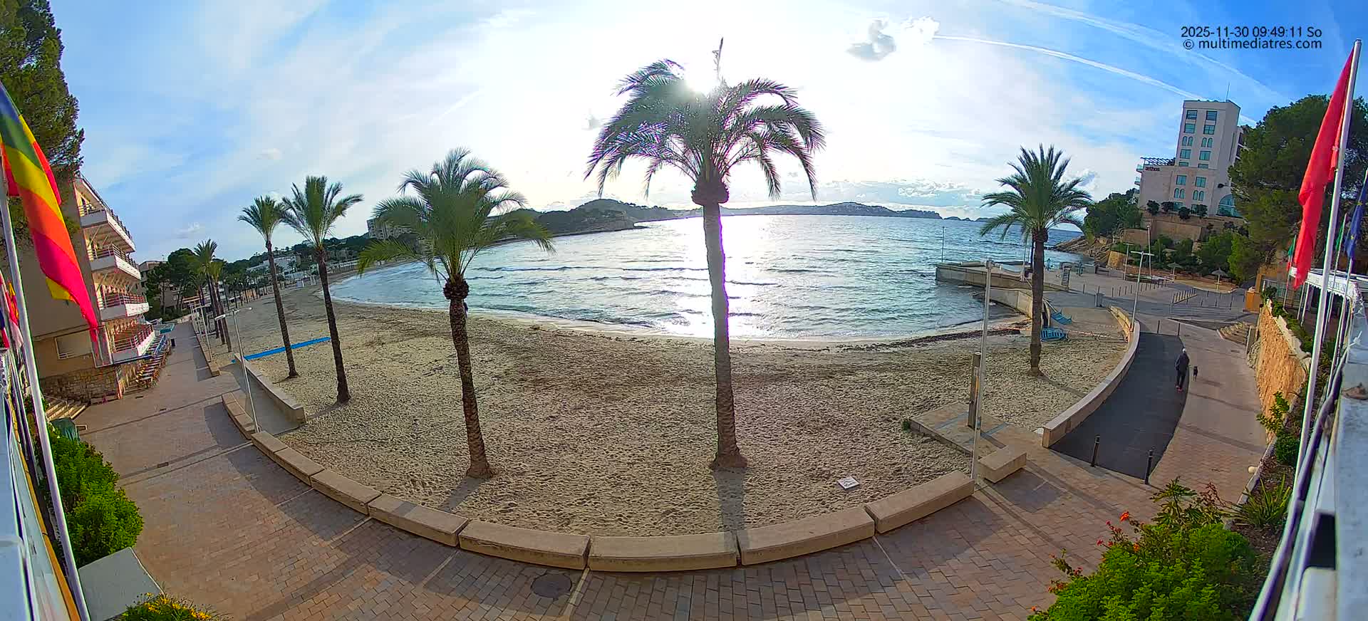 A bright, sunny day at a sandy beach is captured with several palm trees scattered along the shore, calm turquoise waters reflecting the sun's glare, and buildings flanking a paved path where a person walks a dog, all under a clear sky with light clouds.