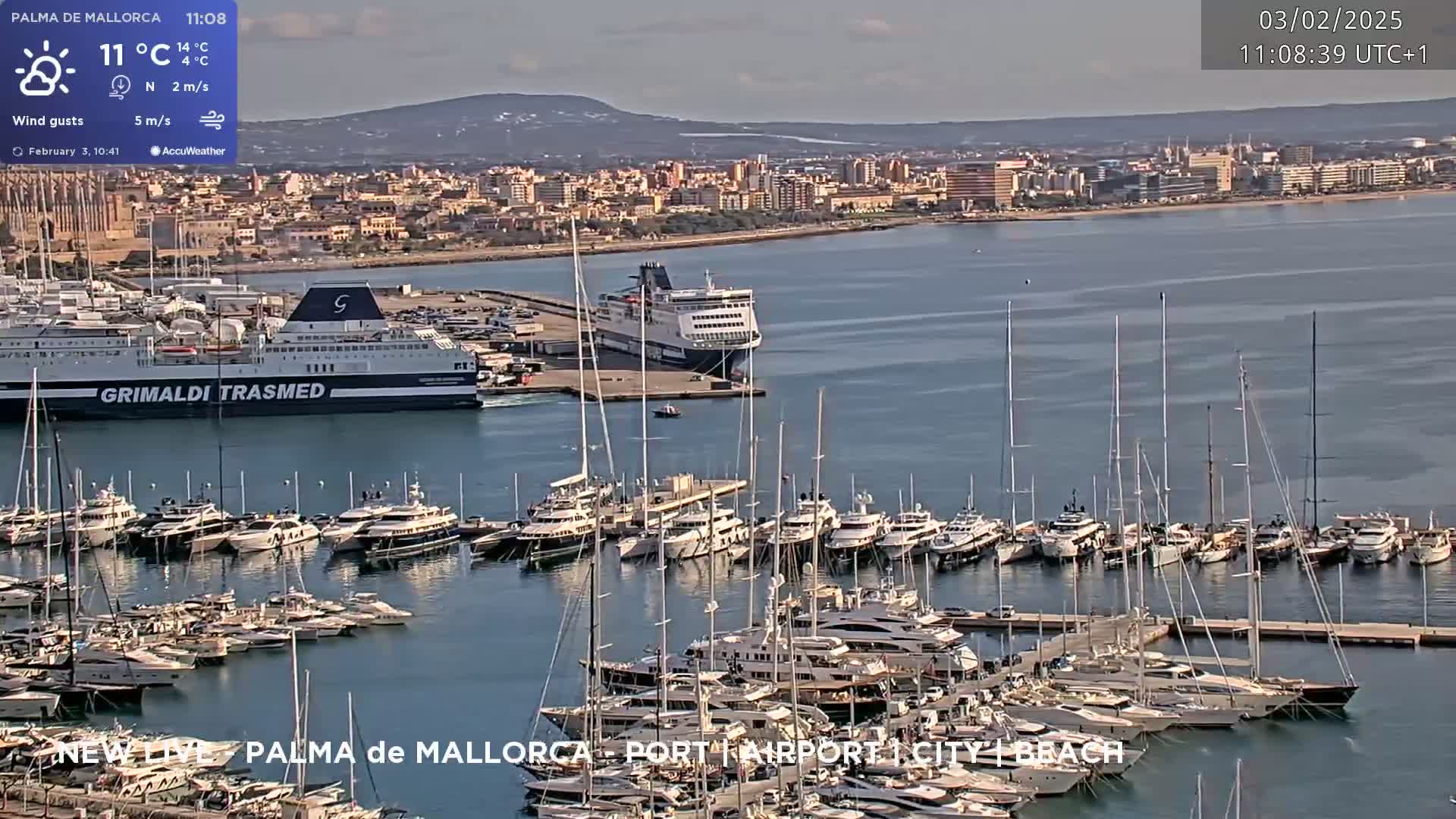 A harbor filled with numerous yachts and sailboats, with a large ferry docked nearby, under a sunny sky.