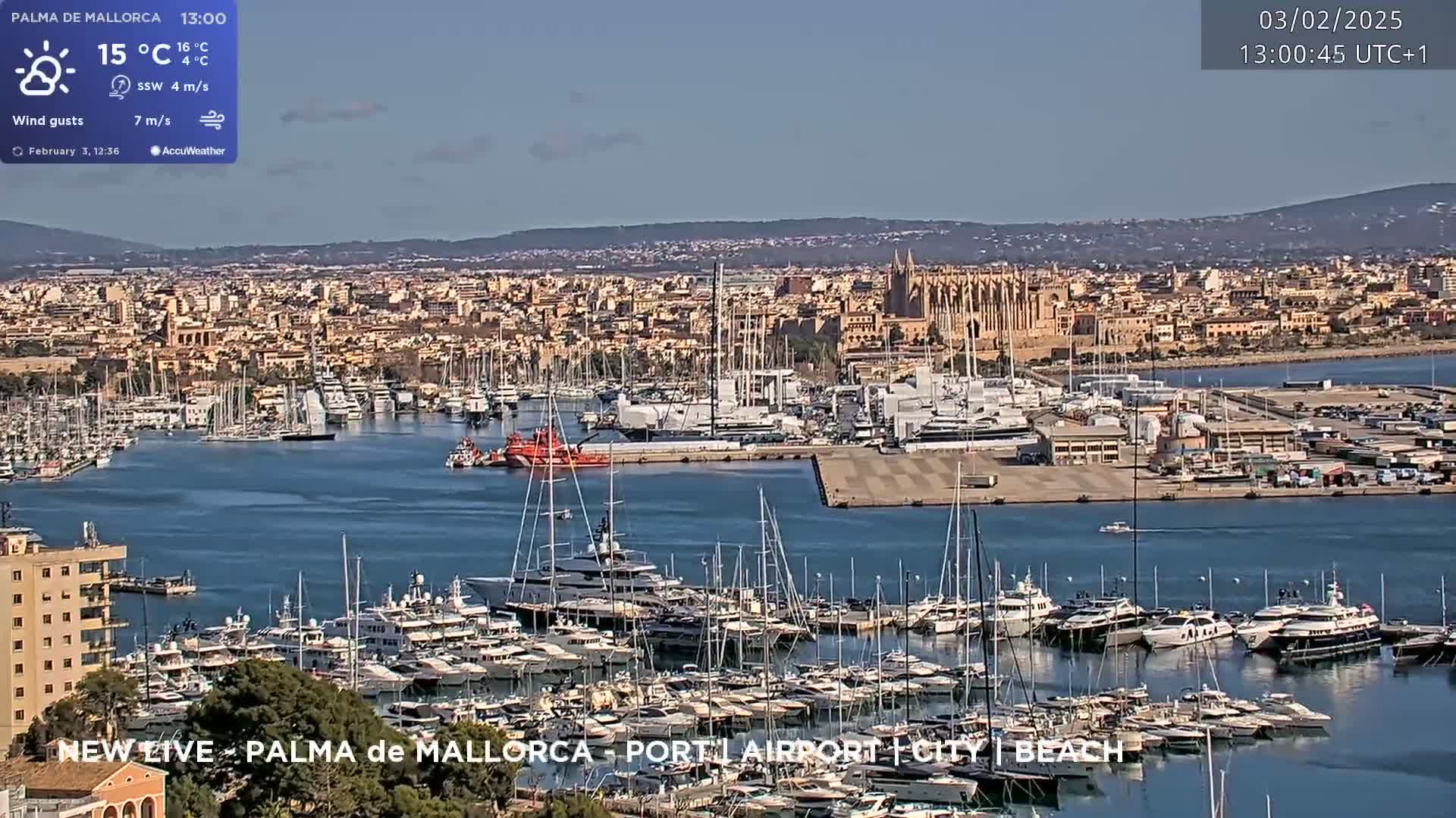A sunny harbor filled with numerous yachts and boats, overlooks a city with a large cathedral under a clear sky.