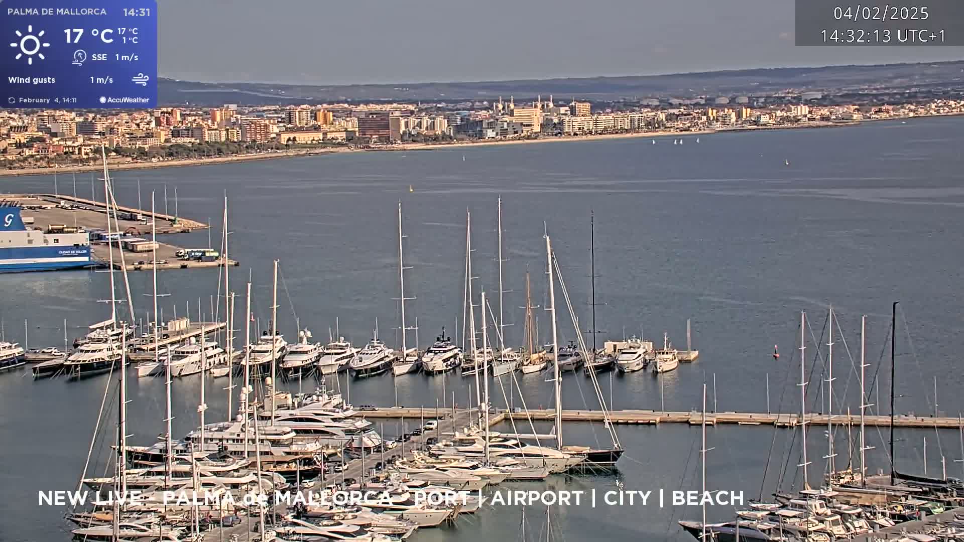 A sunny harbor filled with numerous yachts and sailboats is seen, with a city skyline visible in the distance.