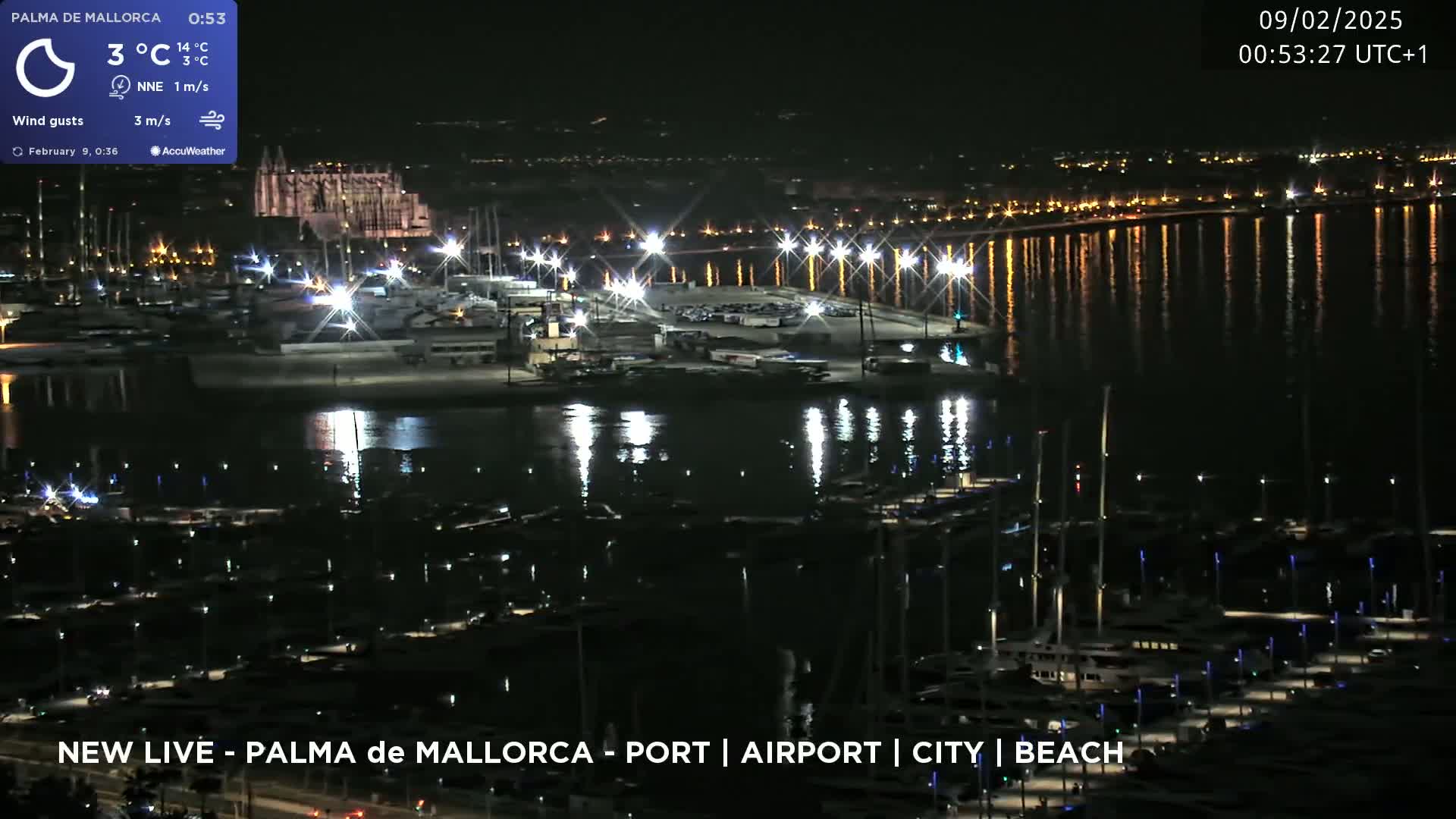 A nighttime aerial view of a harbor filled with boats, illuminated by lights reflecting on calm water, with a city skyline in the background.