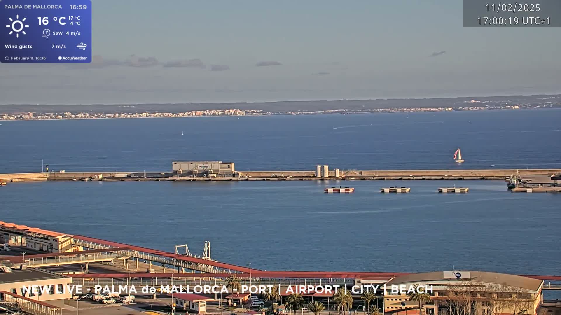 A harbor with a distant city skyline under a mostly clear sky is shown, with a single sailboat on the water.