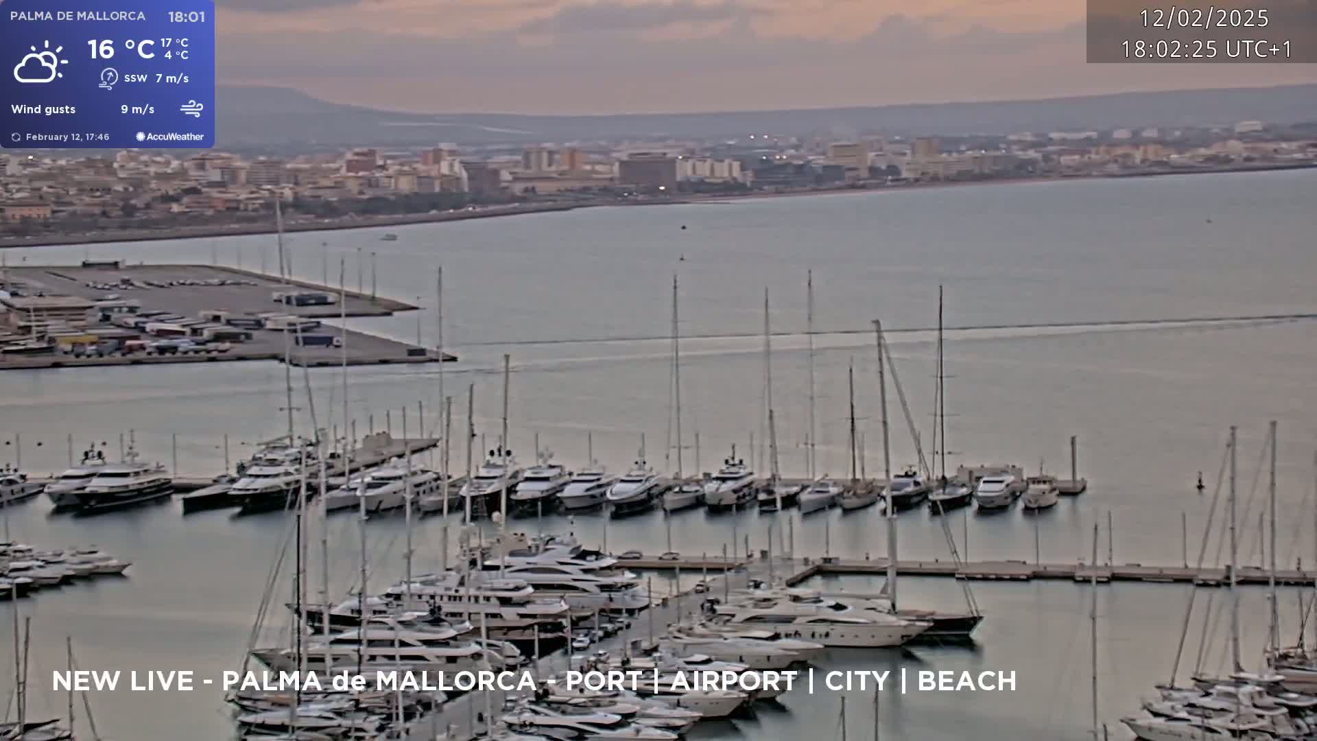 A marina filled with numerous yachts and sailboats is situated near a city on a calm, overcast day.