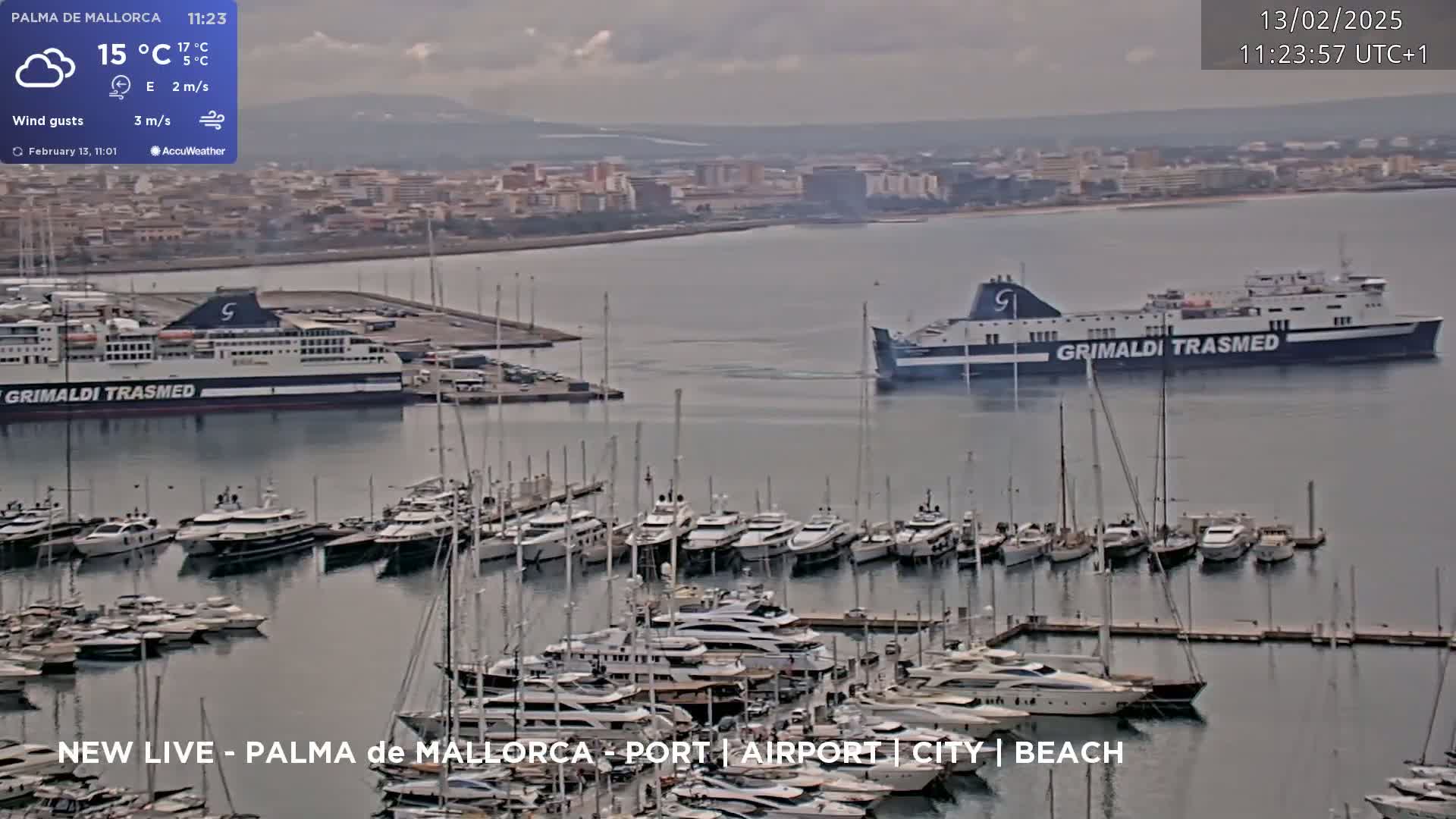 Two large ferries are in a harbor filled with numerous yachts and sailboats under an overcast sky.
