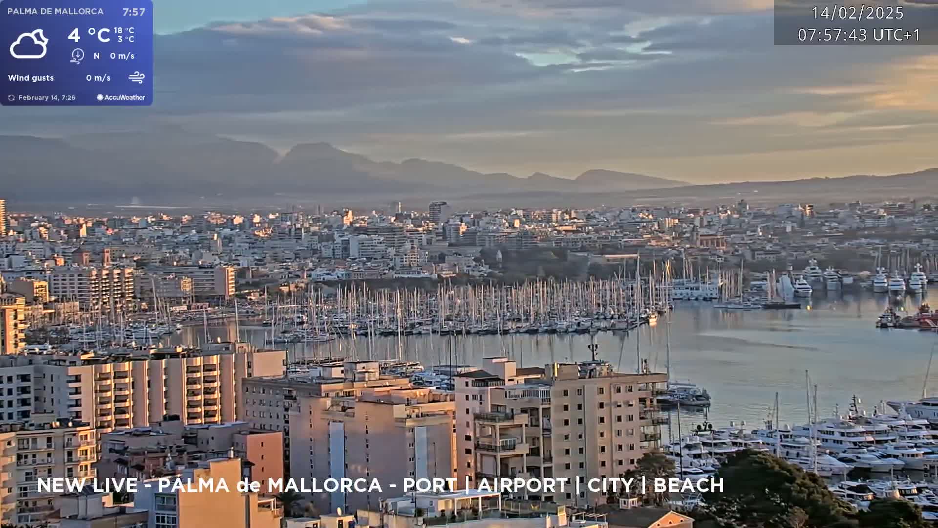 A city harbor filled with numerous boats is seen at sunrise under a partly cloudy sky, with mountains visible in the distance.