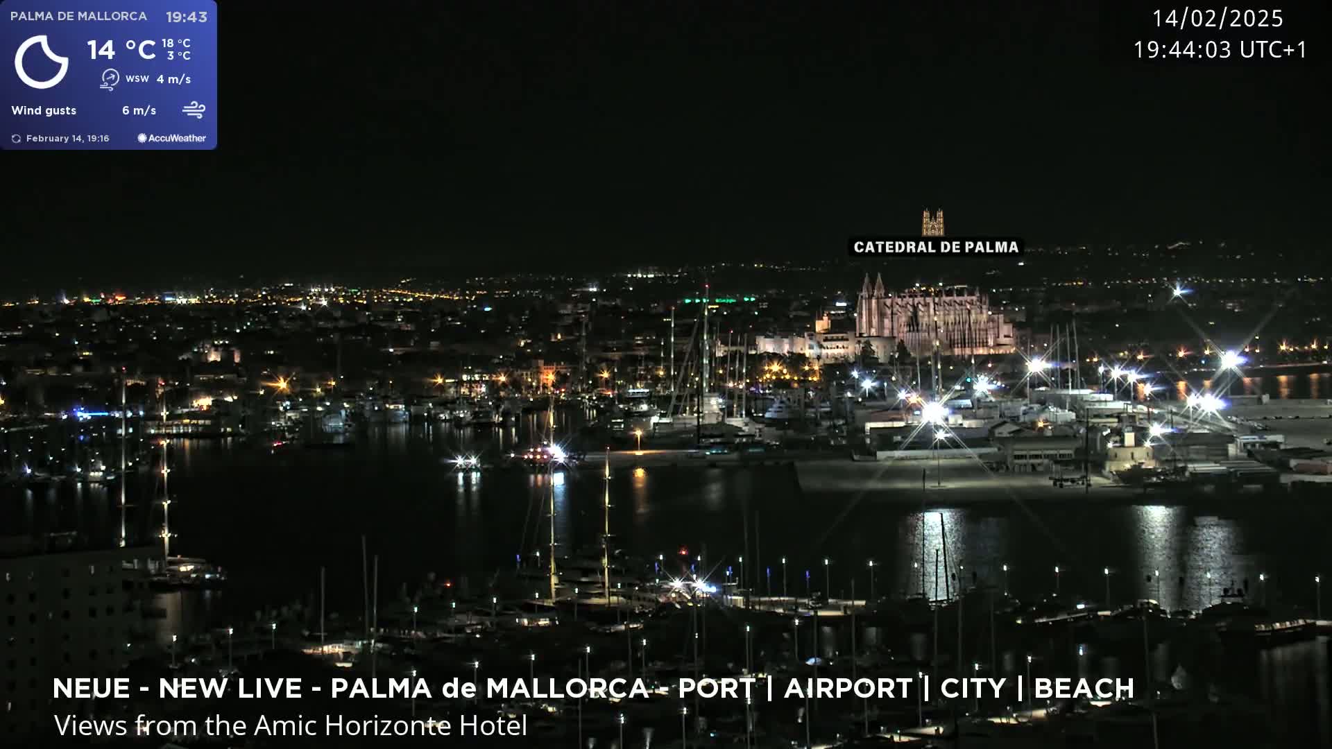 A nighttime view of a harbor city, illuminated by lights, with a large cathedral visible in the background, under a clear sky.