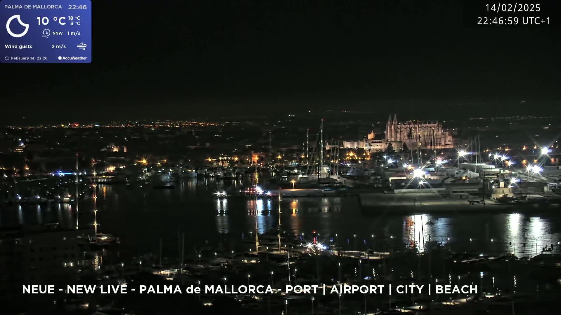 A nighttime harbor scene shows a city skyline illuminated with lights reflecting on calm water, under a clear sky.