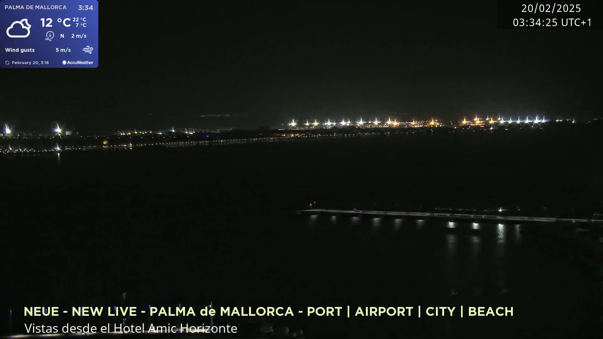 A nighttime view of a city skyline across a body of water, under a clear sky.