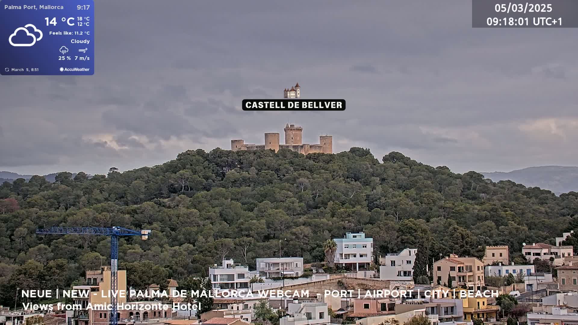 A stone castle sits atop a hill covered in lush green trees under a cloudy sky.