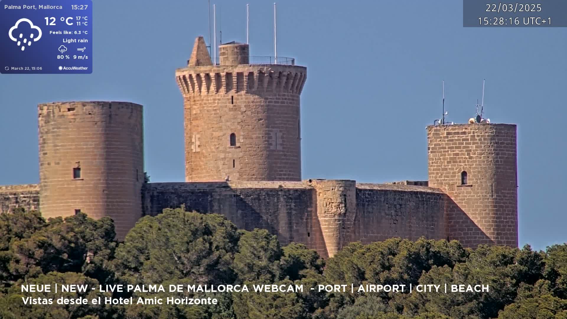 A stone castle with multiple towers is partially obscured by trees under light rain.