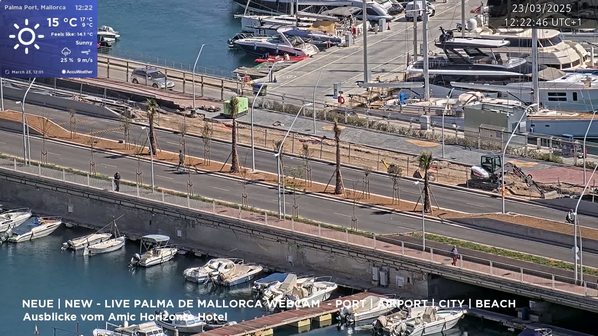 A sunny harbor scene shows a roadway with palm trees alongside it, construction equipment, and numerous boats docked at the water's edge.