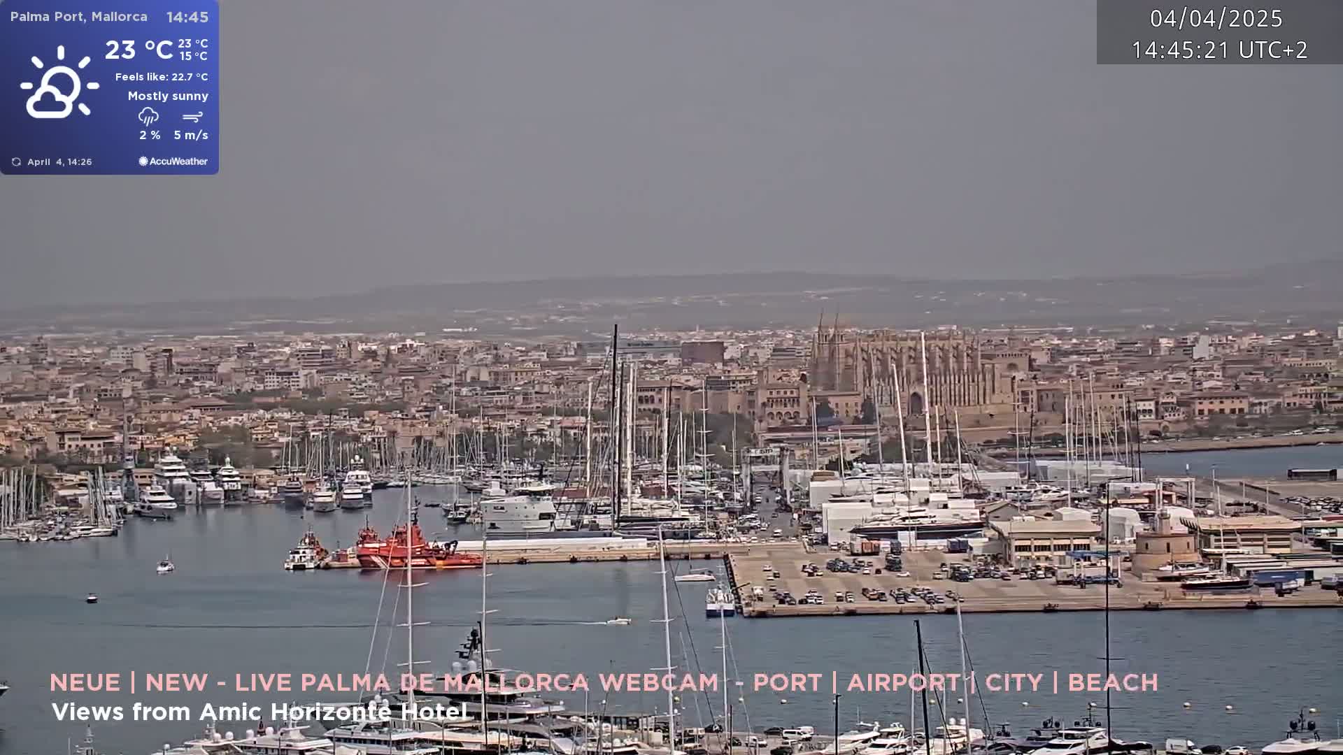 A mostly sunny harbor with numerous boats and yachts is seen, with a city and a large cathedral in the background under a hazy sky.
