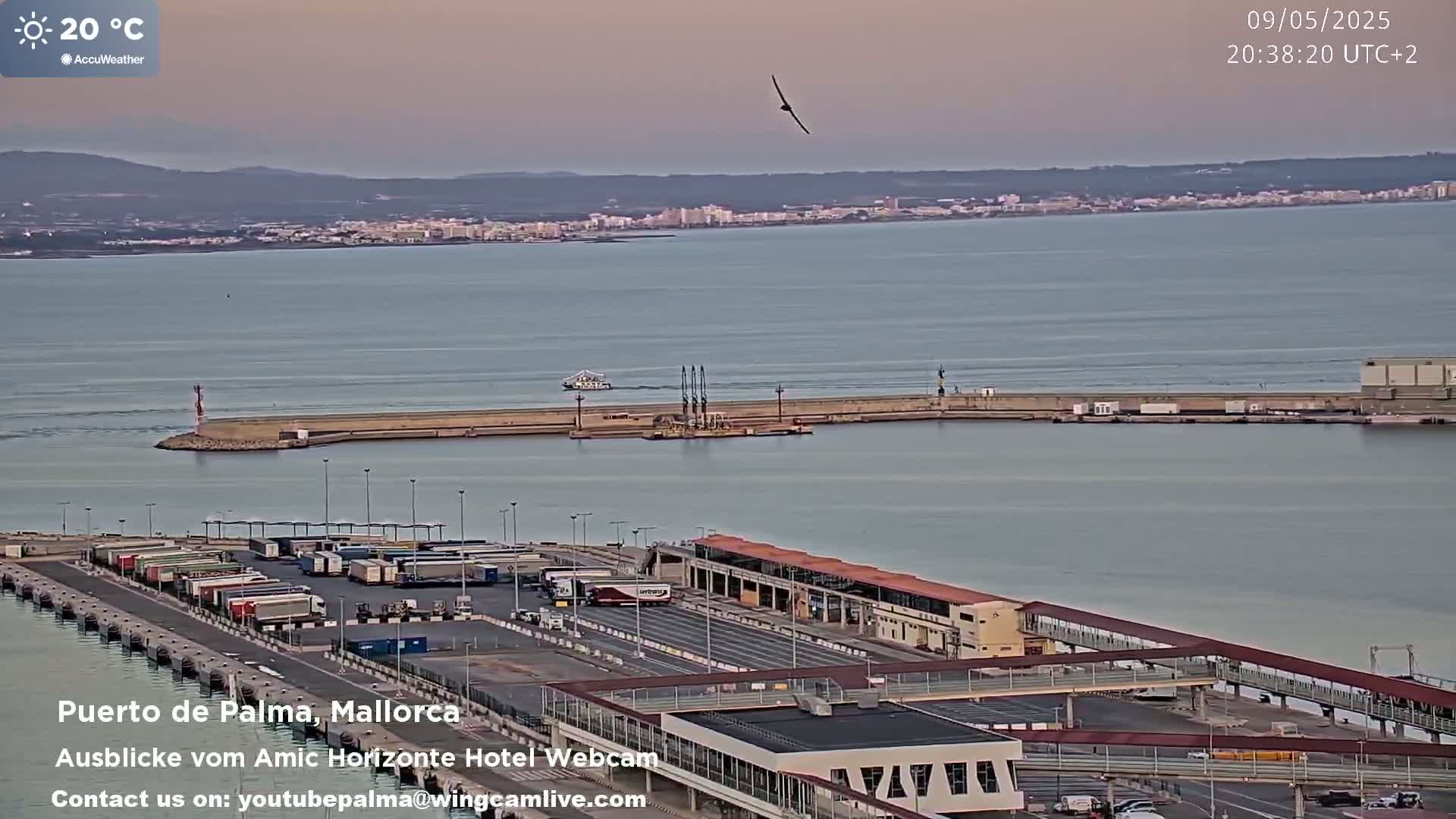 A bird flies over a harbor filled with cargo trucks and a calm body of water under a twilight sky.