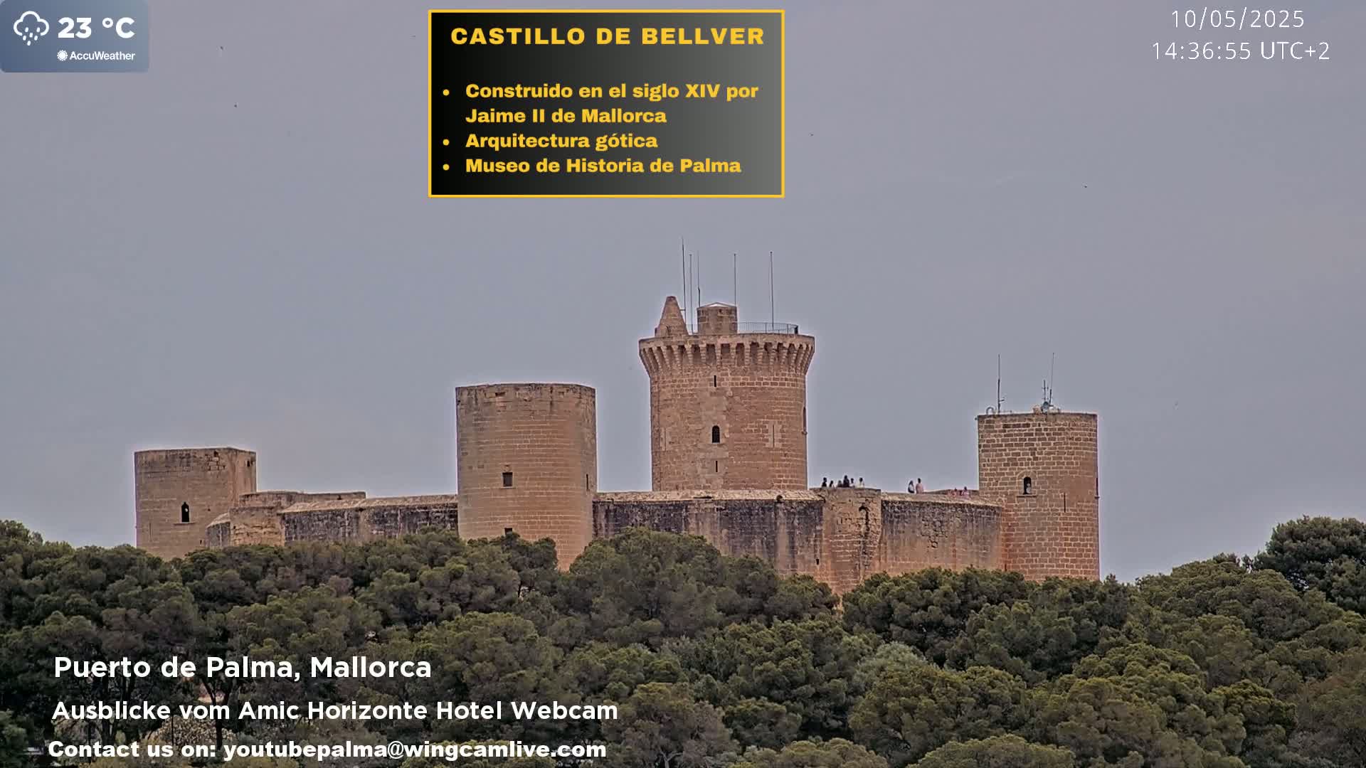 A stone castle with multiple towers sits atop a hill covered in green trees under an overcast sky.