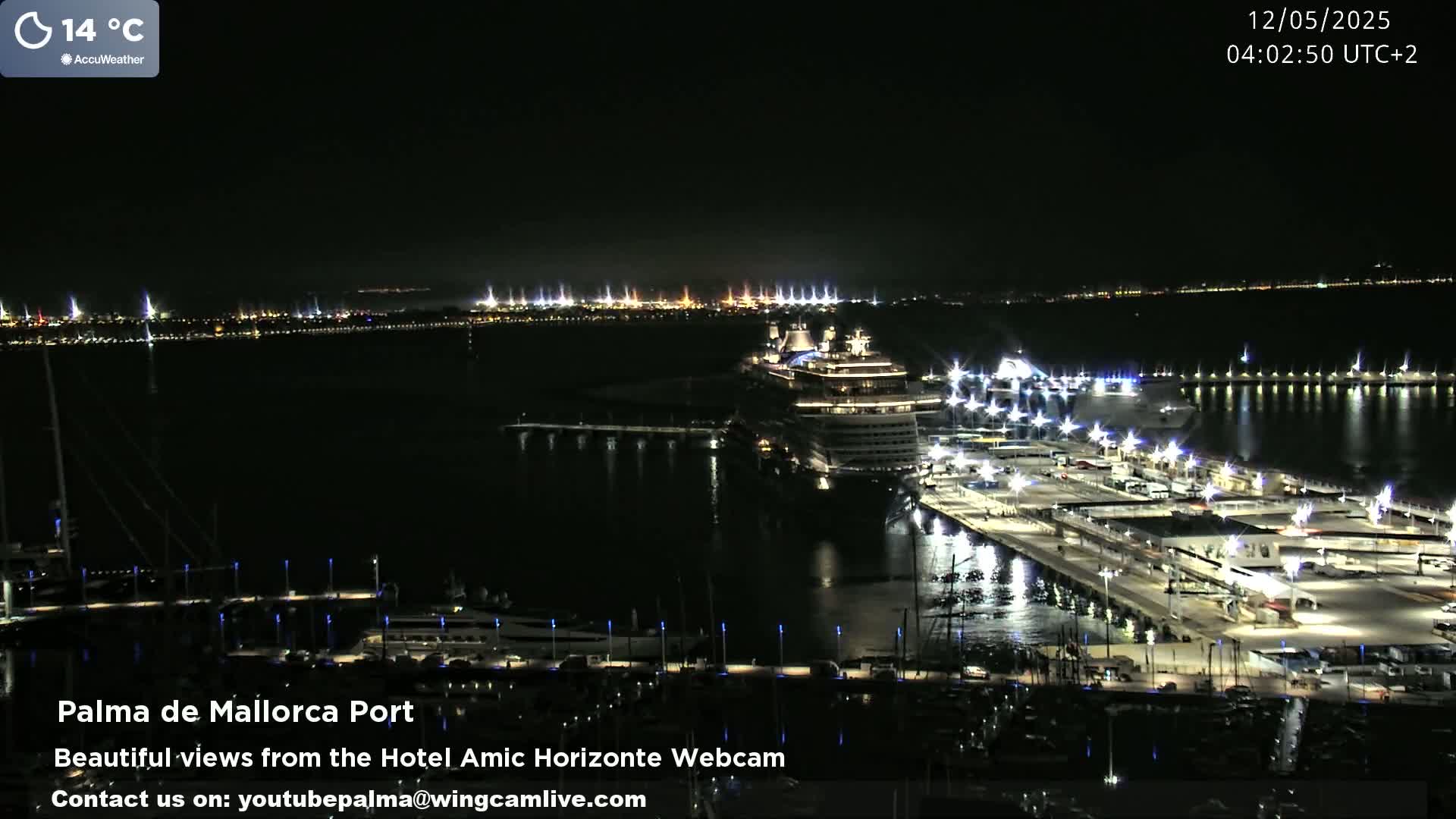 A nighttime, illuminated view of a harbor with a large cruise ship and numerous smaller vessels docked, under a clear sky.