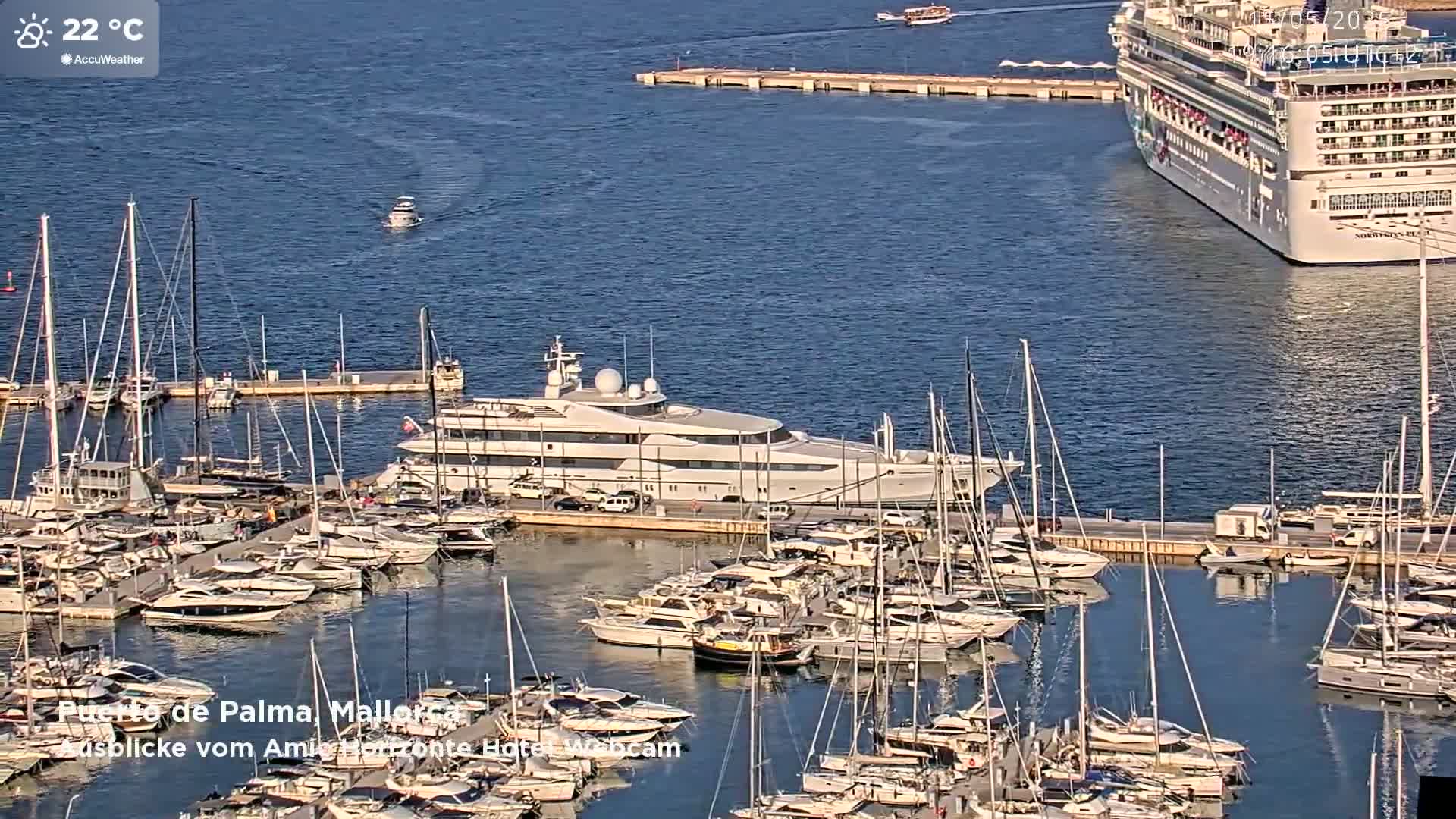 A large yacht is docked in a marina filled with numerous sailboats and motorboats, alongside a larger cruise ship in calm, sunny waters.