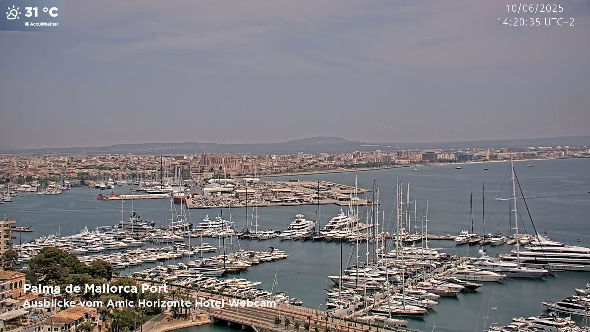 A harbor filled with numerous yachts and sailboats is situated in front of a city under a hazy, sunny sky.