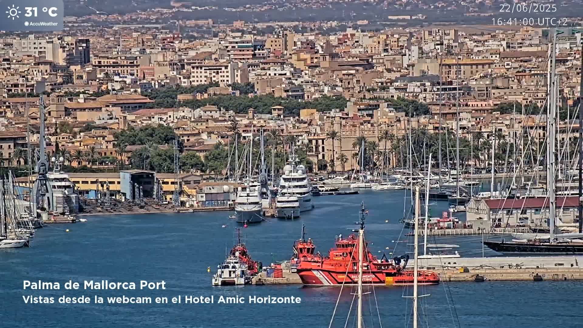 A sunny harbor filled with numerous boats and yachts is situated below a densely populated city, with the temperature at 31°C.