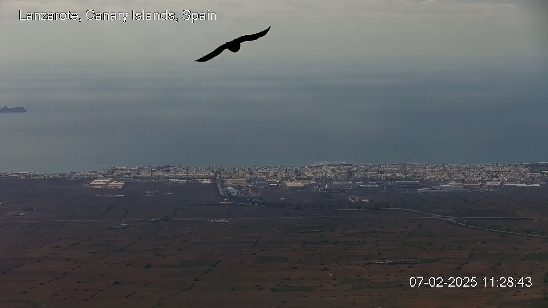 Lanzarote, Arrecife Skyline from Mina Mount Live Cam - Canary Islands, Las Palmas, Spain