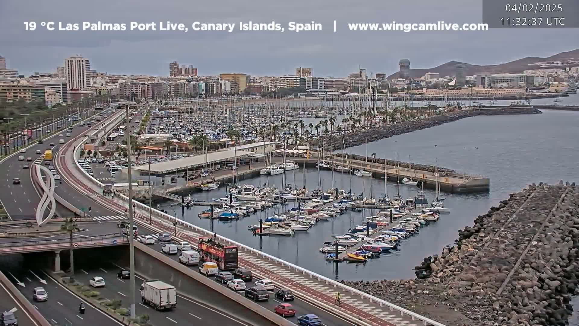A marina filled with sailboats and motorboats is situated next to a highway, with a city skyline and overcast skies in the background.