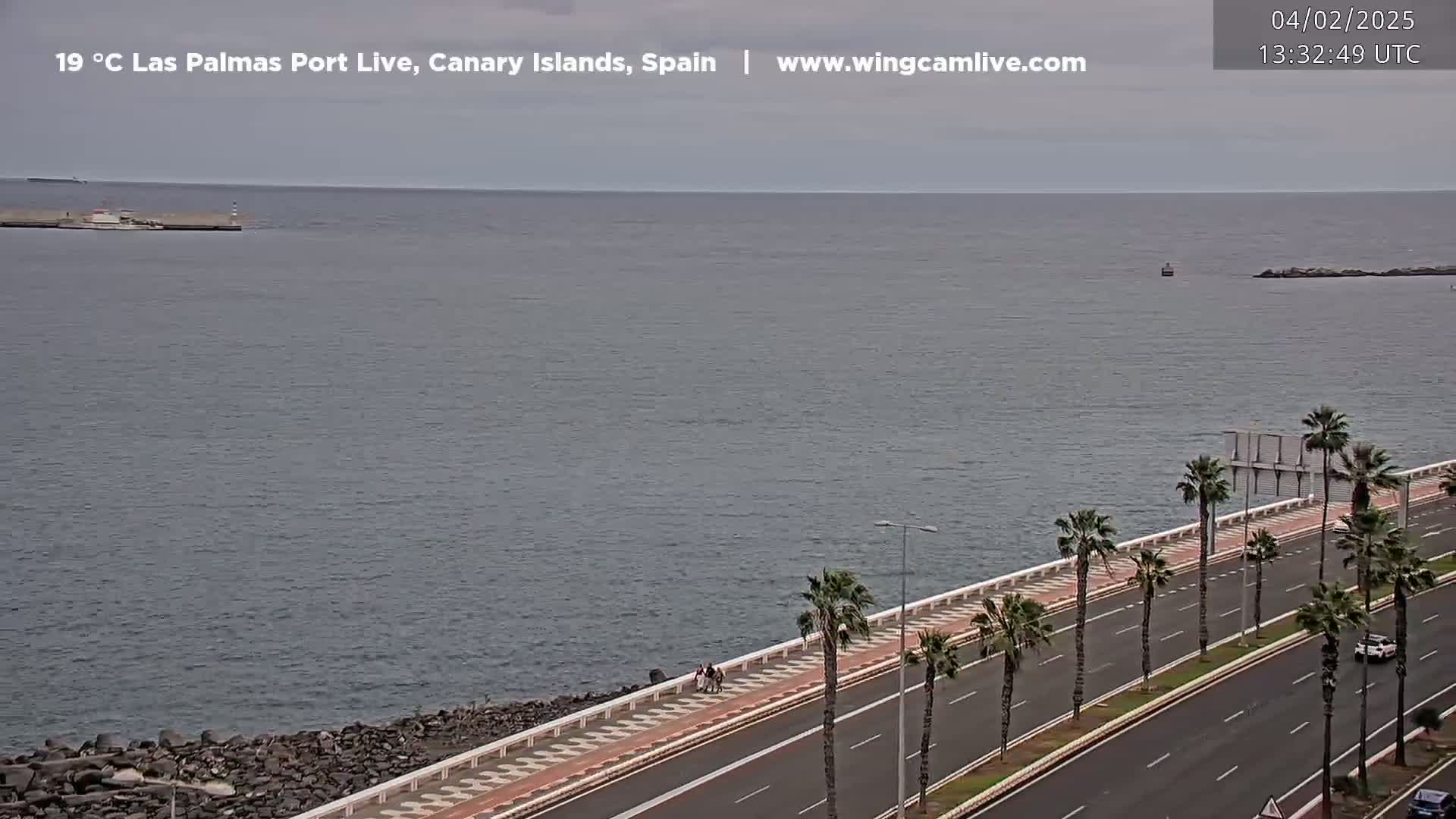 A calm ocean stretches out to a hazy horizon beside a palm tree-lined highway with a few pedestrians and cars.