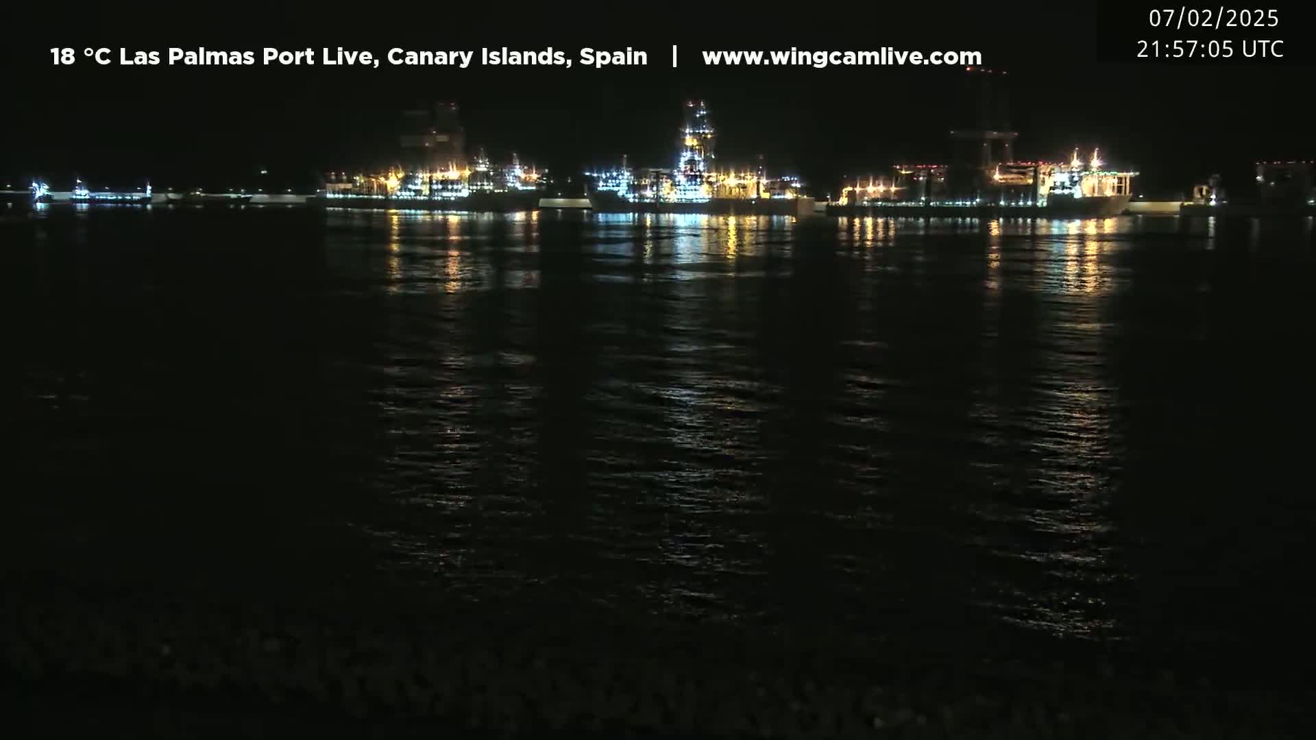 At night, several brightly lit ships are moored in a calm body of water.