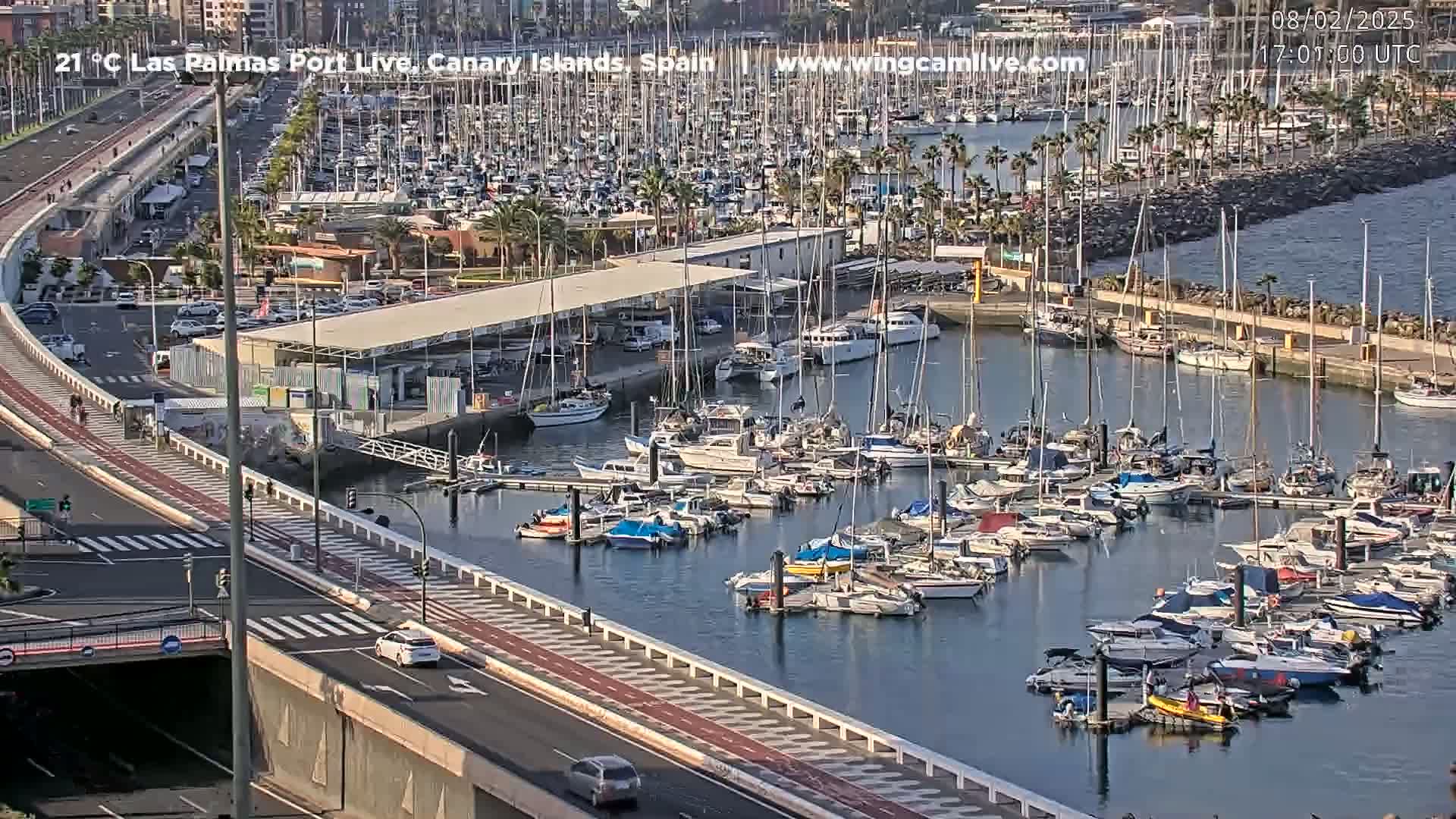 A marina filled with numerous sailboats and motorboats is situated beside a road with a bike lane, under a sunny sky.