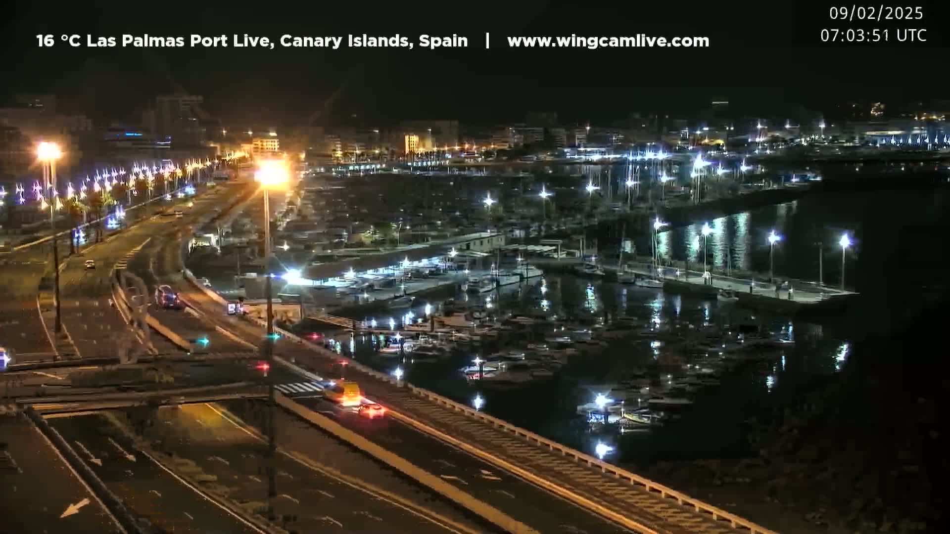 A nighttime view of a harbor filled with boats, next to a roadway with cars, under clear skies.