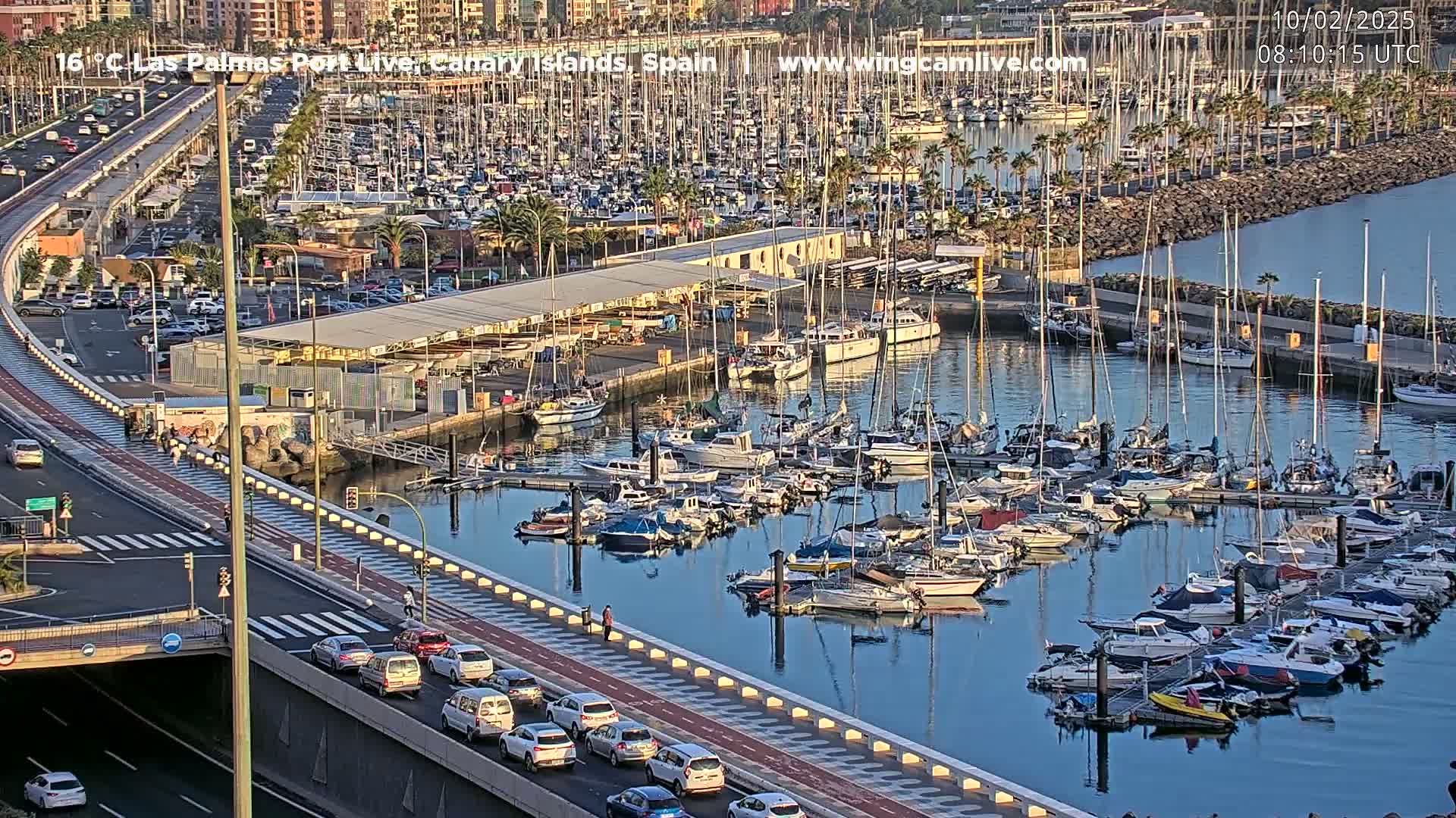 A marina filled with numerous sailboats and motorboats is situated next to a roadway with cars and a bike path, under a clear, sunny sky.