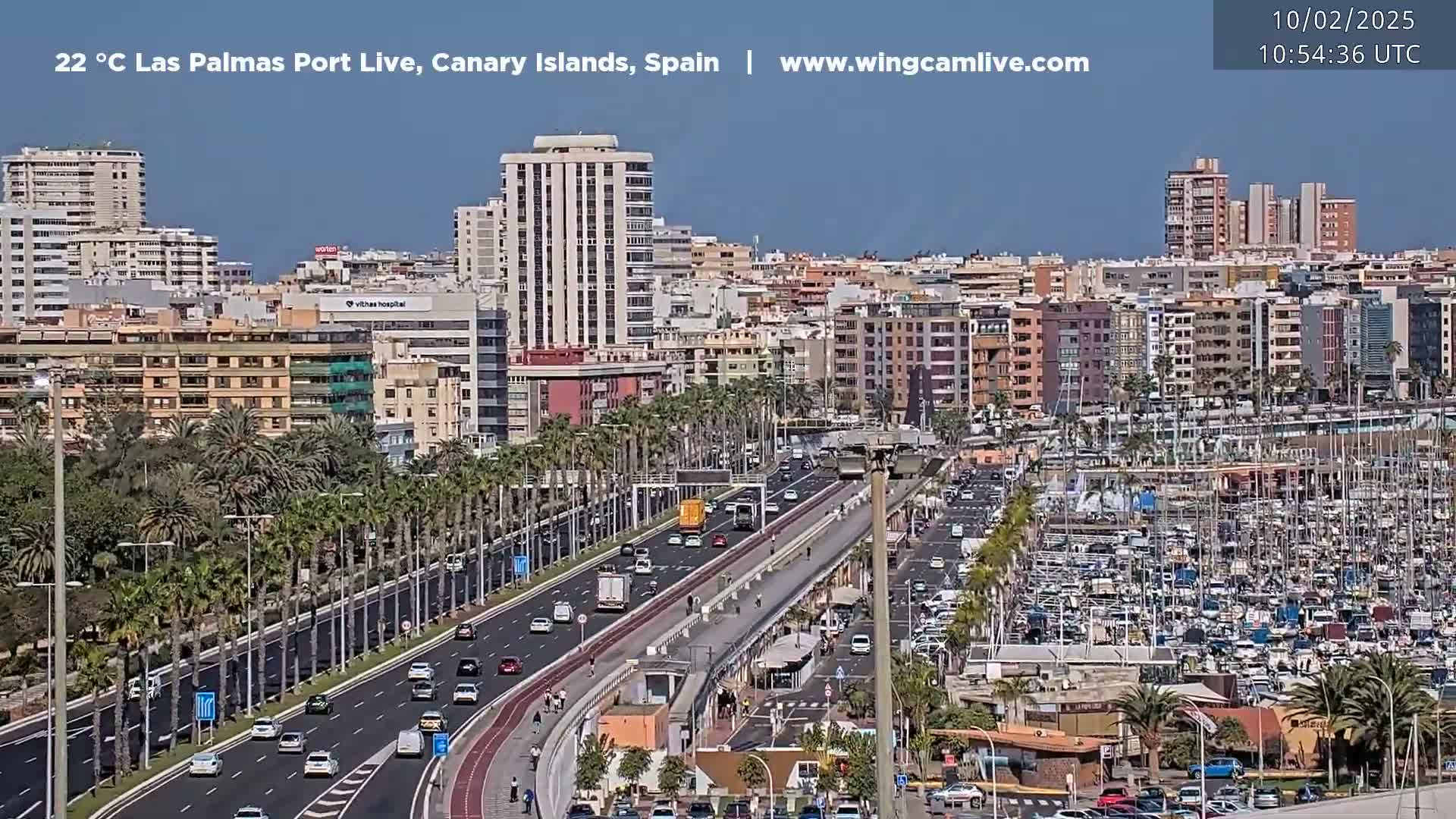 A sunny cityscape shows a harbor filled with sailboats and a multi-lane highway lined with palm trees.