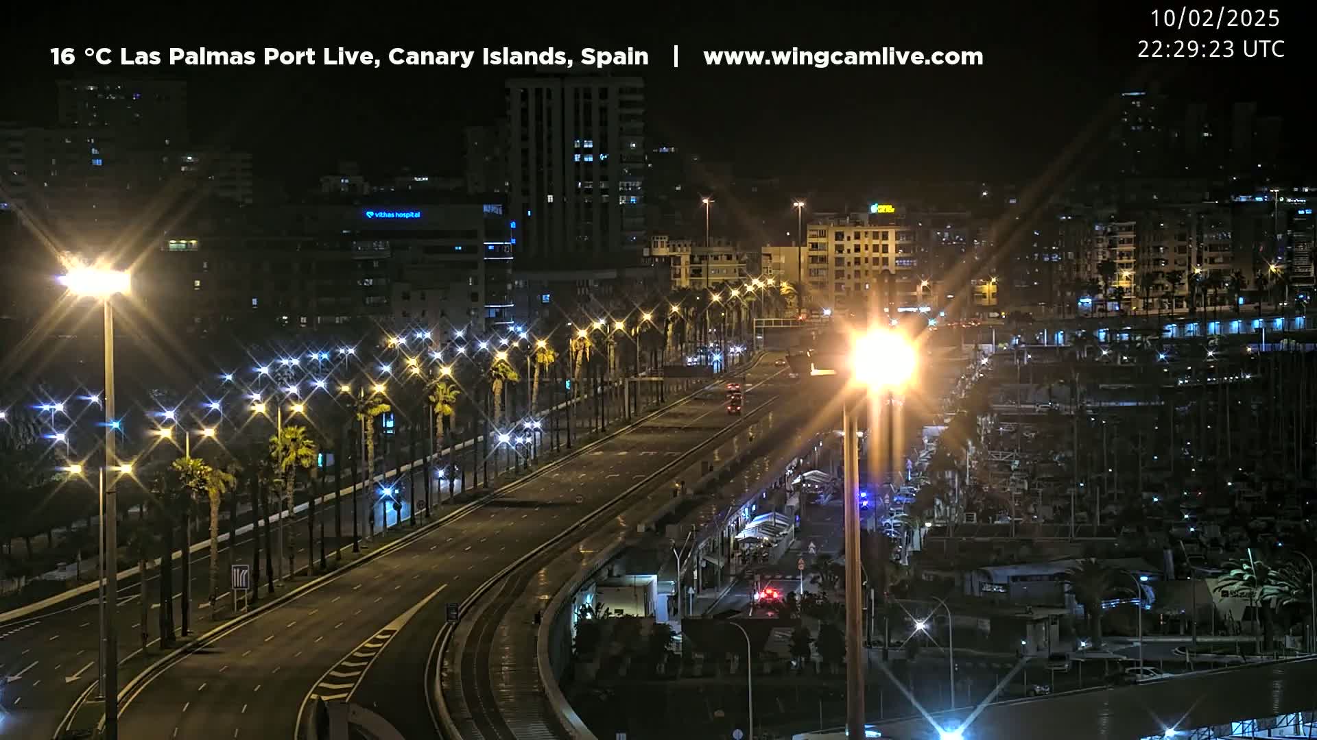 A nighttime, slightly wet, city road lined with palm trees and streetlights leads to a harbor filled with boats, all under a clear sky.