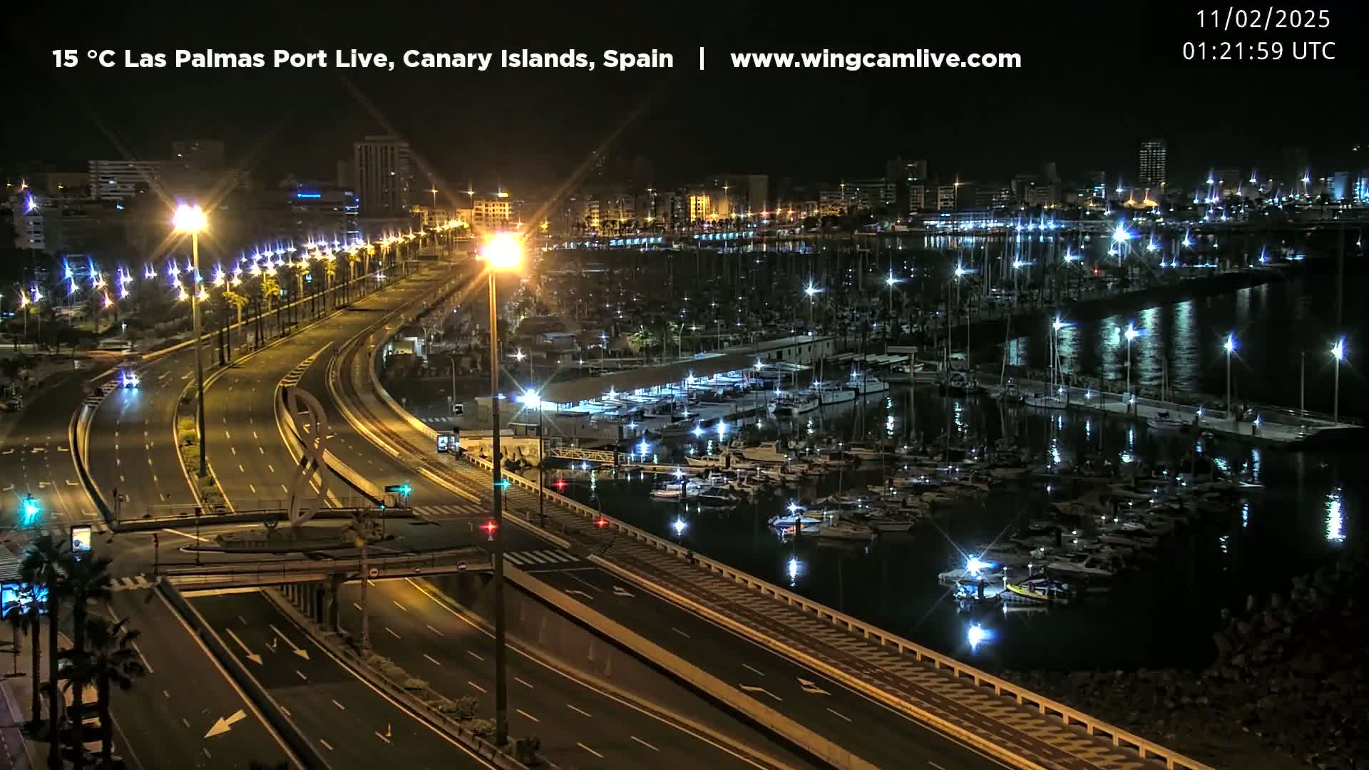 A nighttime, illuminated view of a harbor filled with boats, alongside a multi-lane highway bordered by palm trees and city lights.