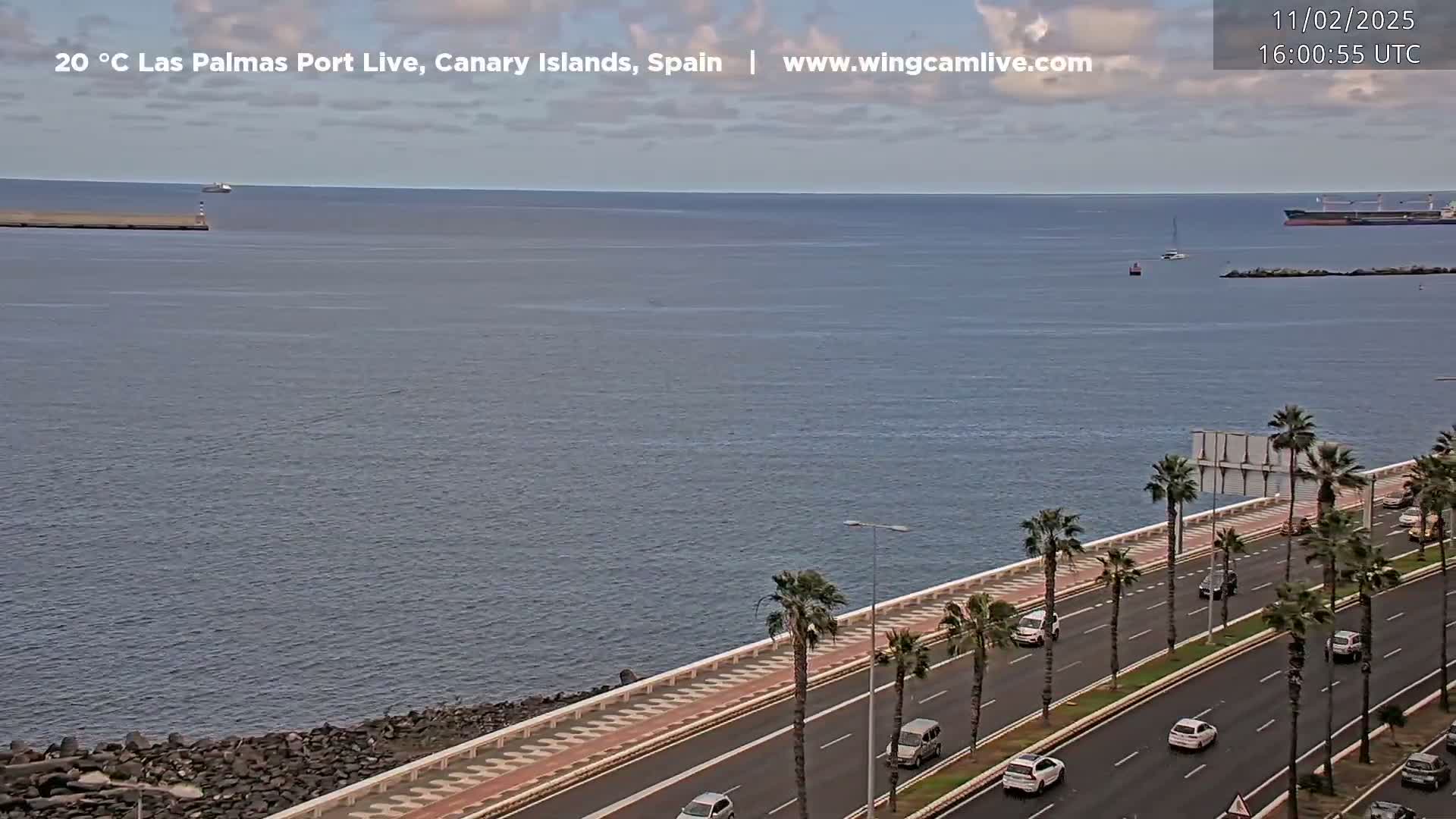 A partly cloudy day shows a coastal highway lined with palm trees next to a calm ocean with several ships and boats visible in the distance.