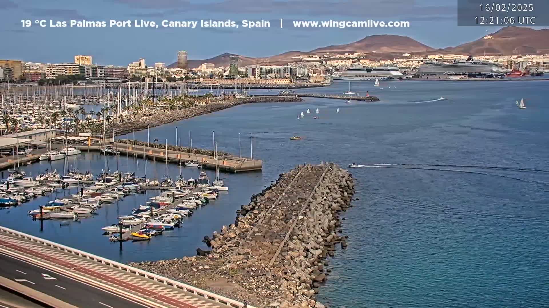 A harbor filled with sailboats and yachts is situated near a city under a sunny sky, with a large cruise ship visible in the distance.