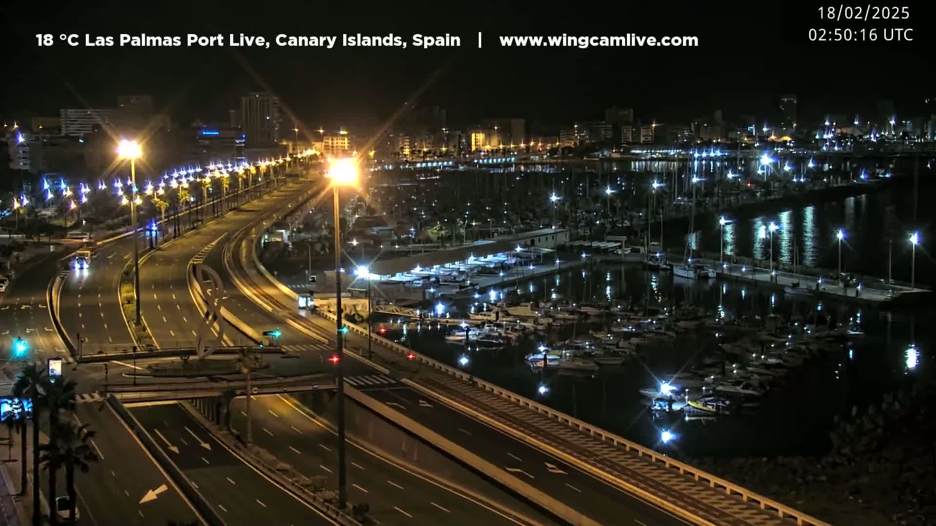 A nighttime aerial view of a marina filled with boats, adjacent to a multi-lane highway lined with palm trees and streetlights.