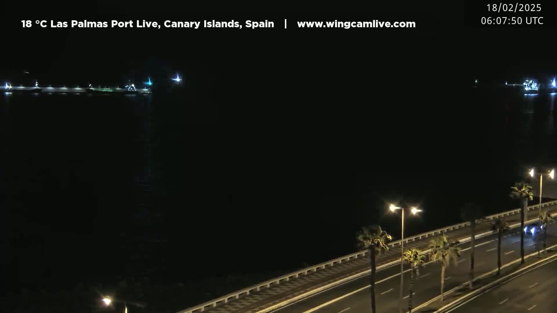 A nighttime, long shot of a dark harbor with ships and a roadway lined with palm trees.