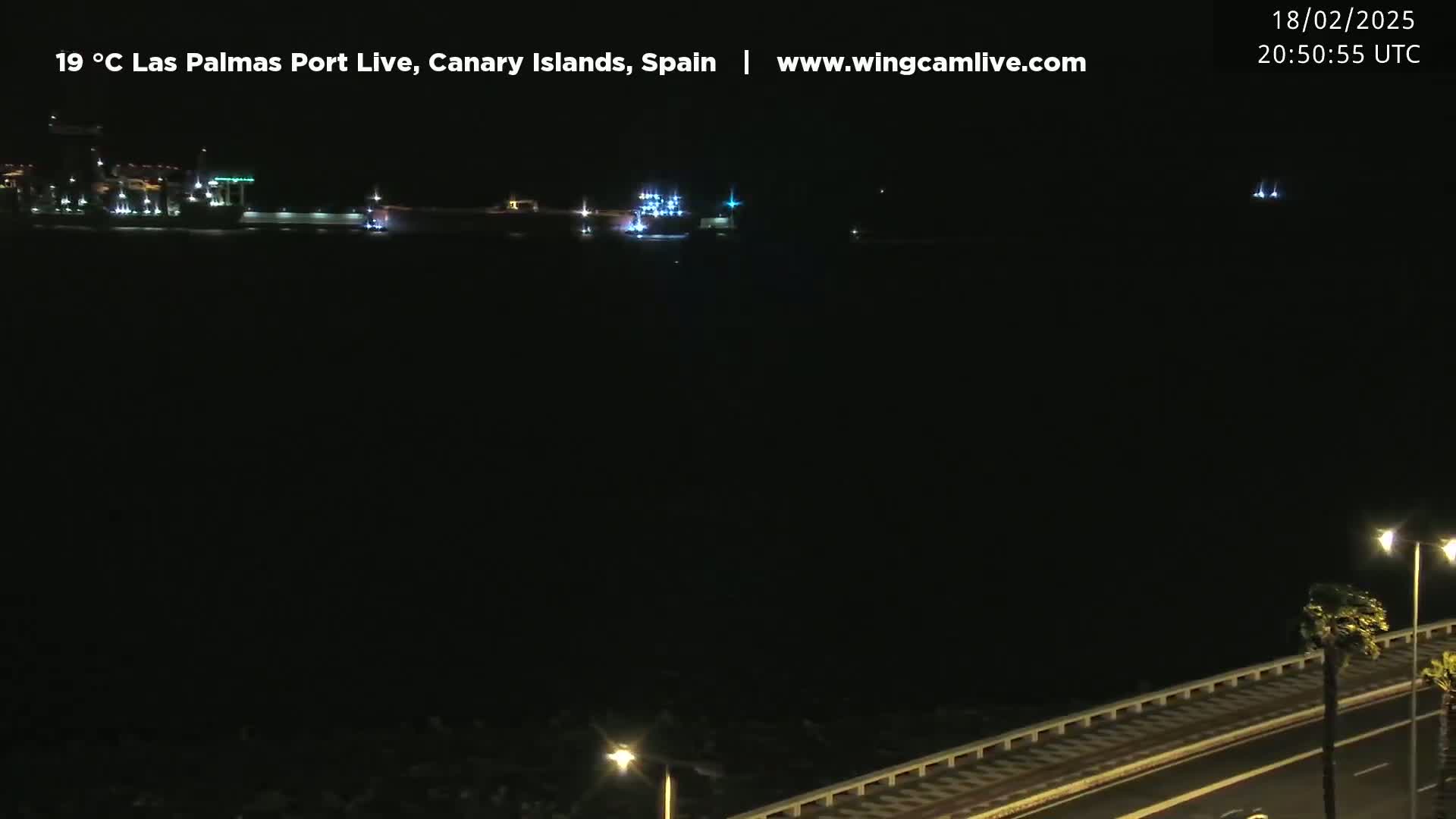 A nighttime long shot of a dark harbor with faintly lit ships and a roadway with palm trees along a seawall.