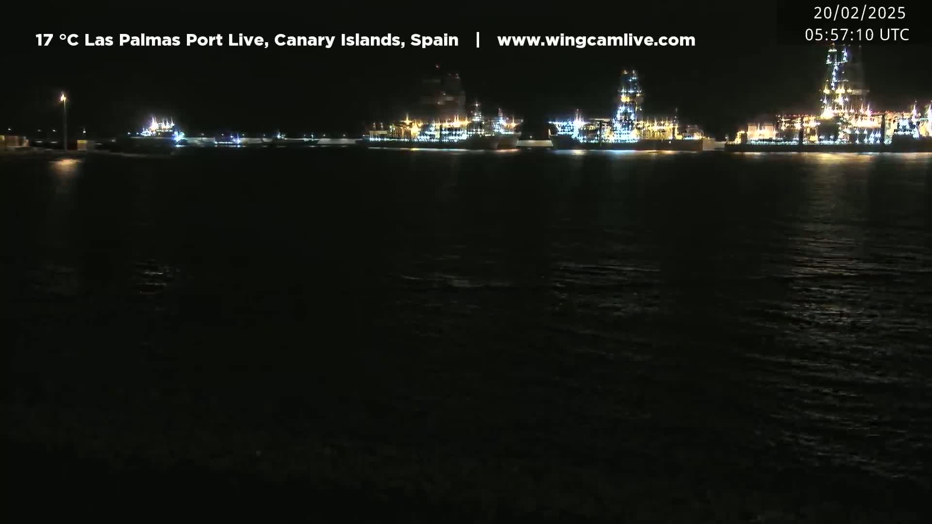 At night, several brightly lit ships are moored in a calm harbor.