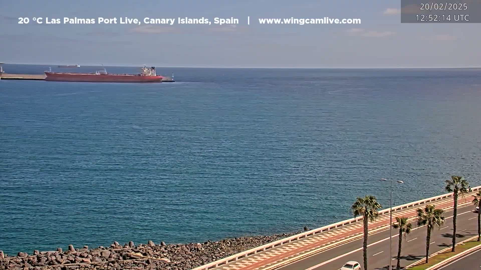 A large cargo ship is docked at a port next to a calm, blue ocean under a clear sky, with a palm tree-lined road visible in the foreground.