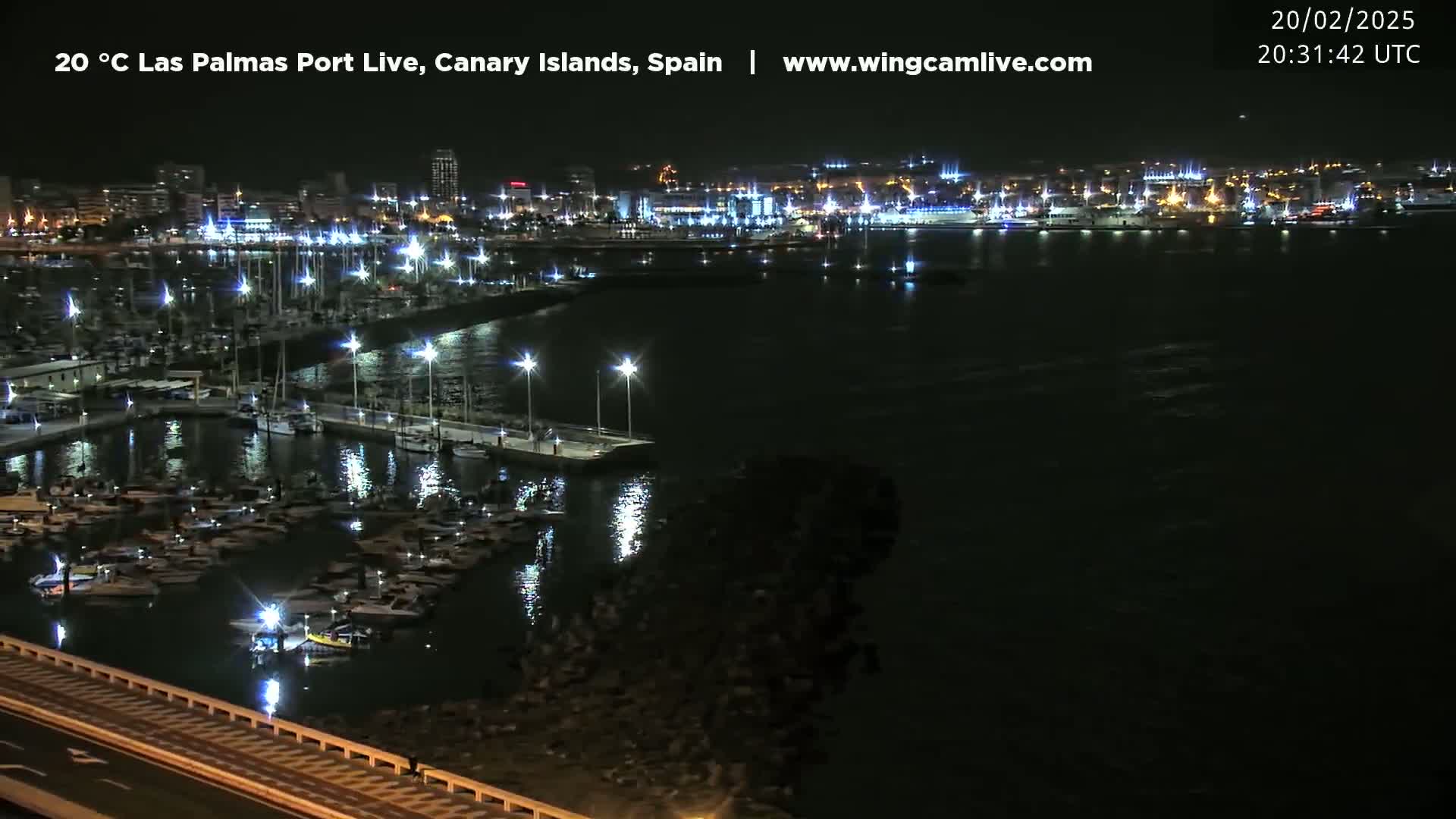 A nighttime view of a harbor filled with boats, illuminated by lights, with a city skyline in the background under a clear sky.