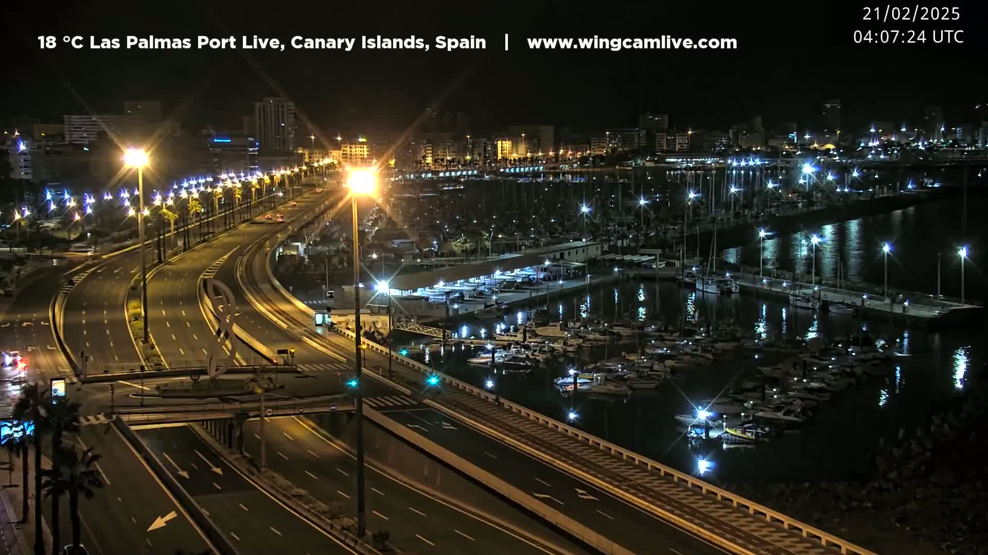 A nighttime, illuminated view of a marina filled with boats, next to a multi-lane highway lined with palm trees.