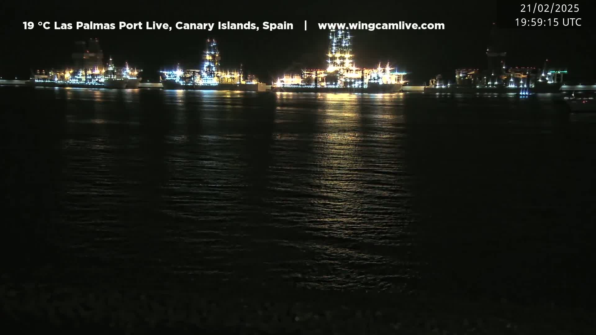 Several brightly lit ships are moored in a dark, calm harbor at night.