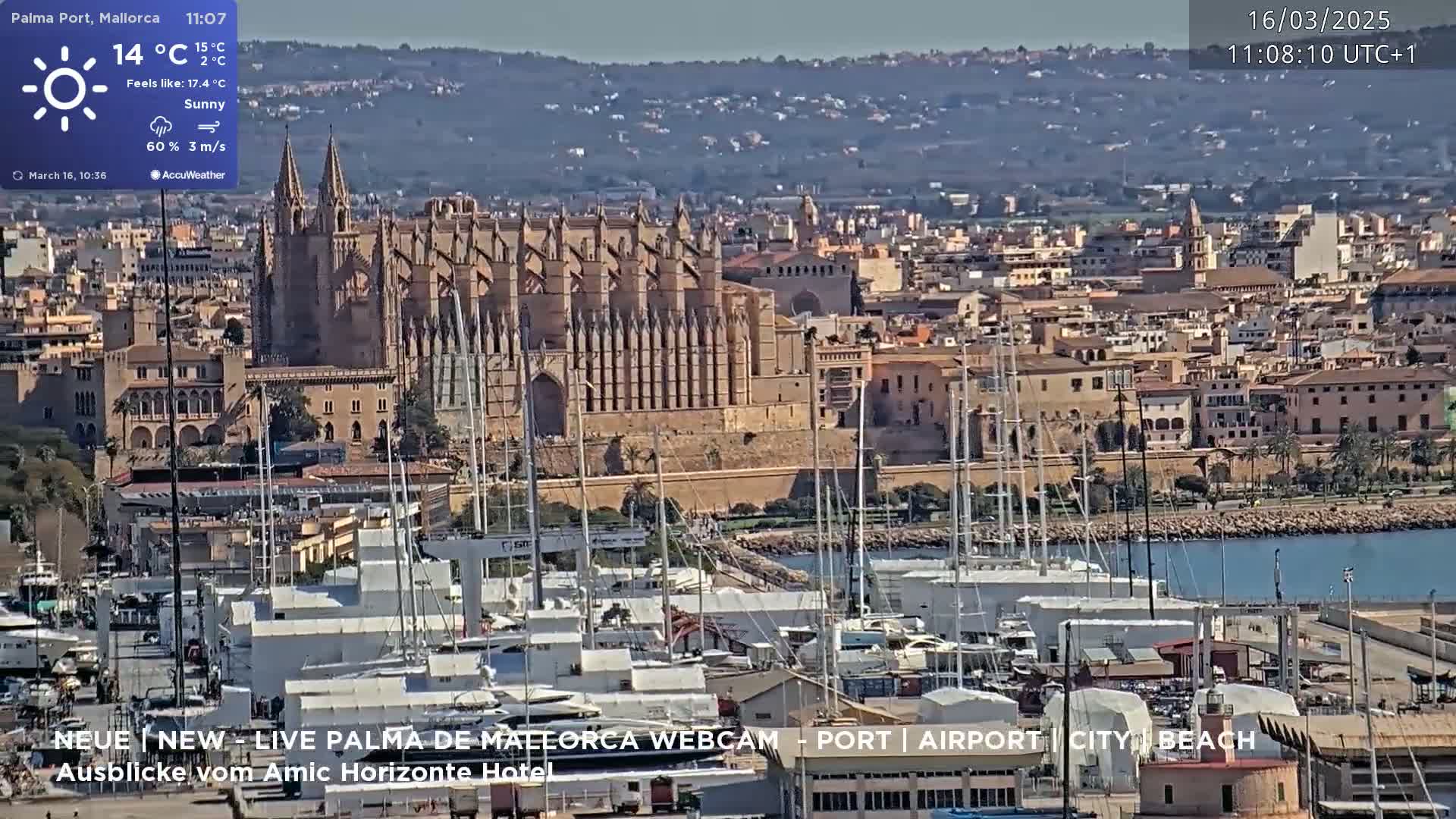 A sunny harbor filled with boats is situated below a large stone cathedral and city under a clear sky.