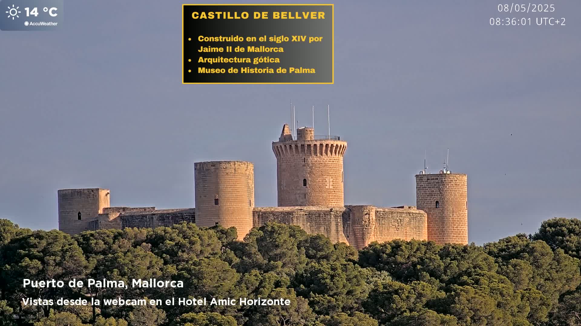 A stone castle with a central tower stands atop a hill covered in green trees under a clear, light-grey sky.