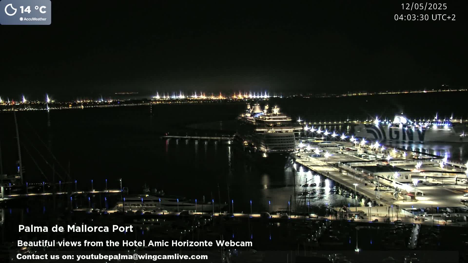 A nighttime view of a harbor with a large cruise ship docked, surrounded by smaller boats and lit docks, under a clear sky.